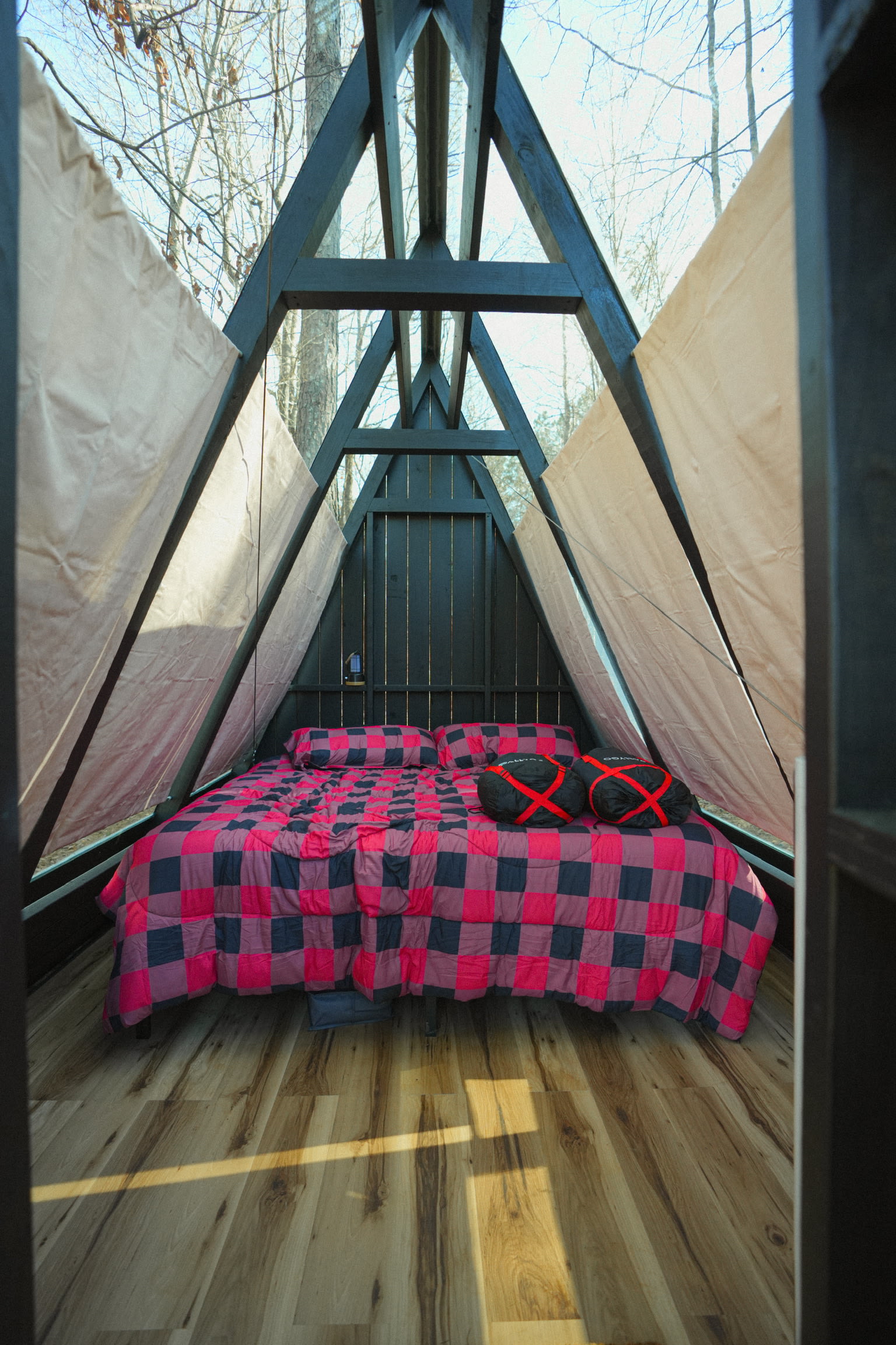 Private Georgia Forest