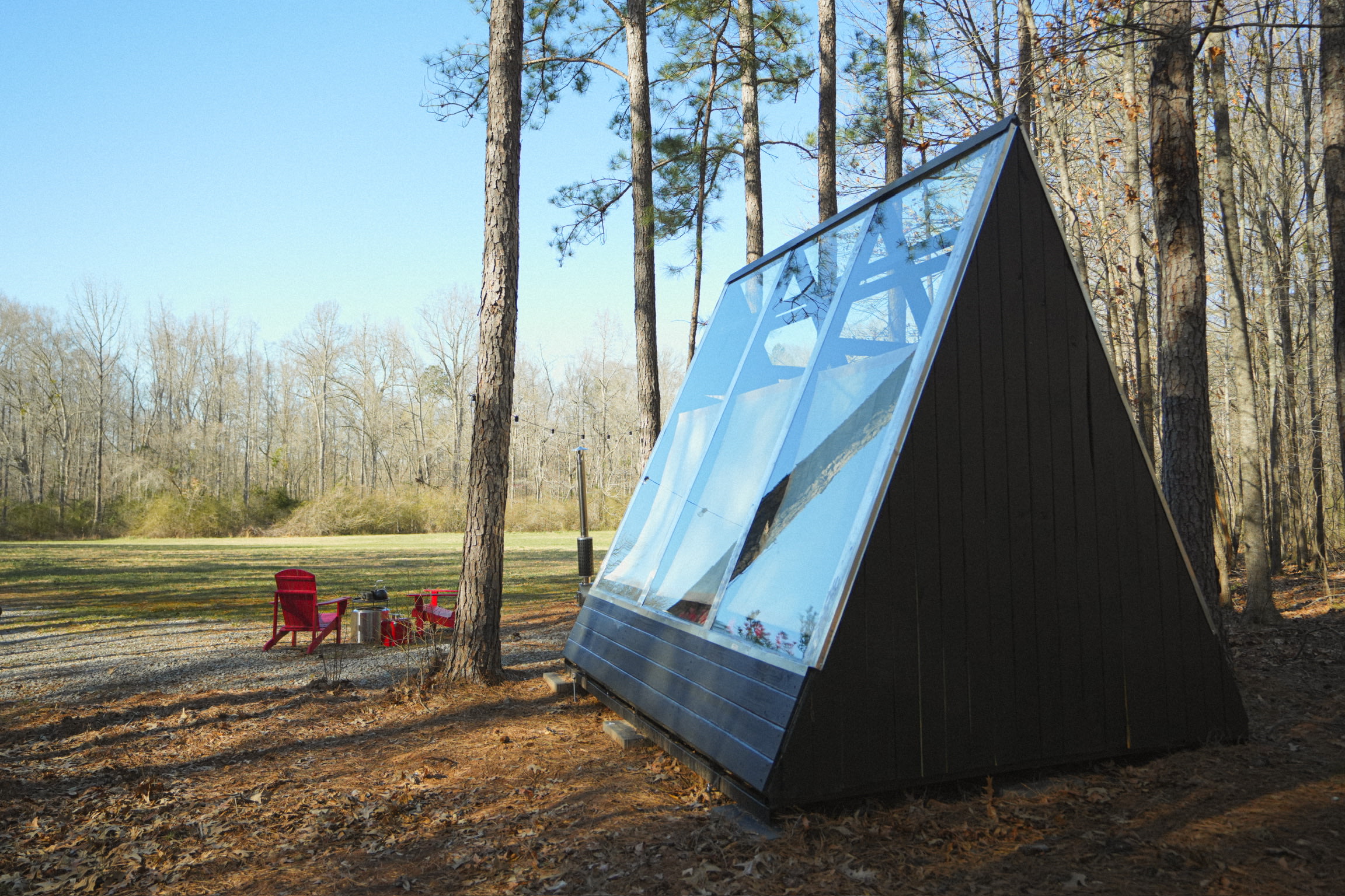 Private Georgia Forest