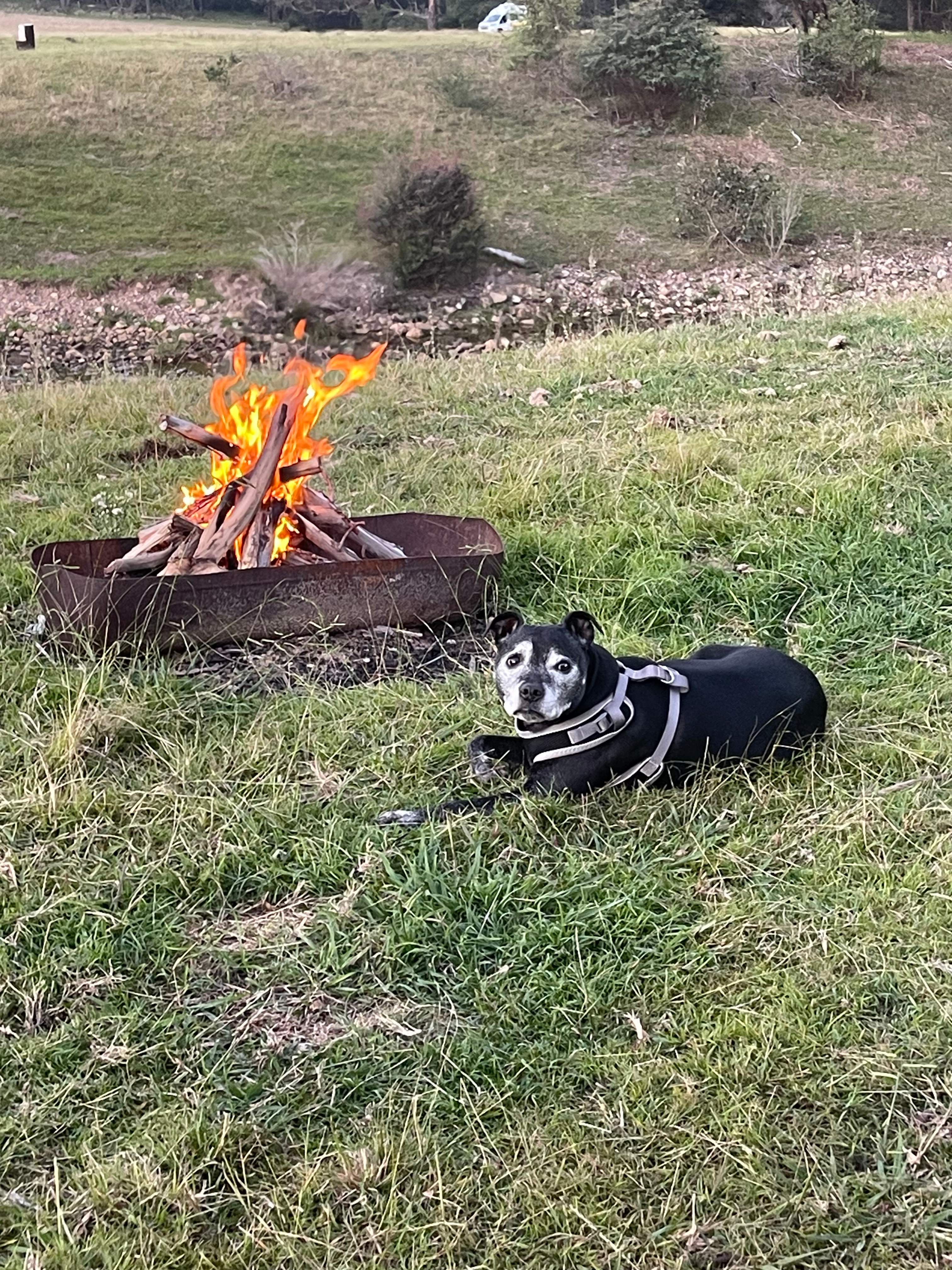Living her best life
