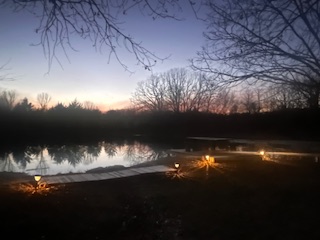 Peaceful Rest in Ozark Oak Nest
