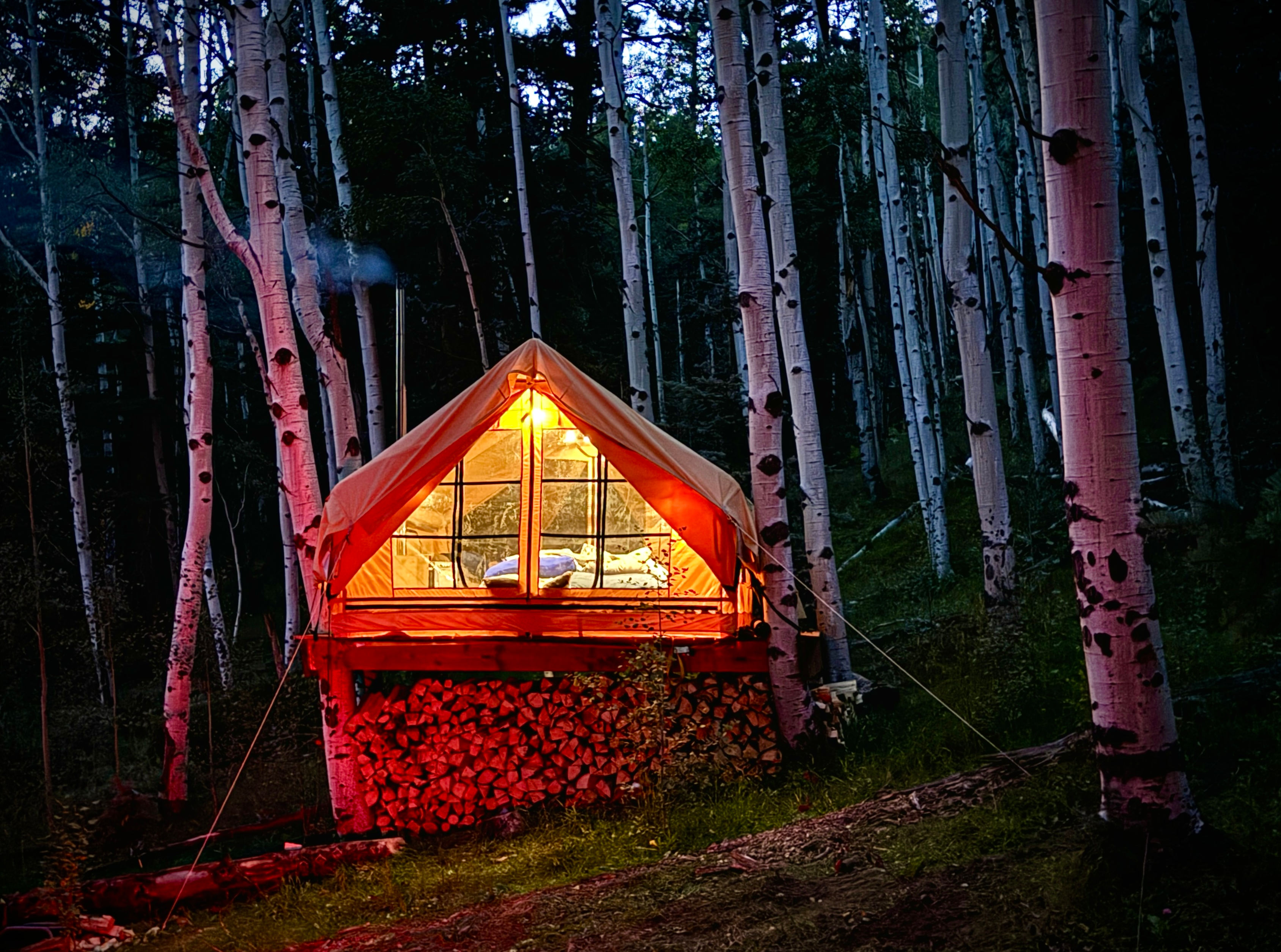 The Cabin