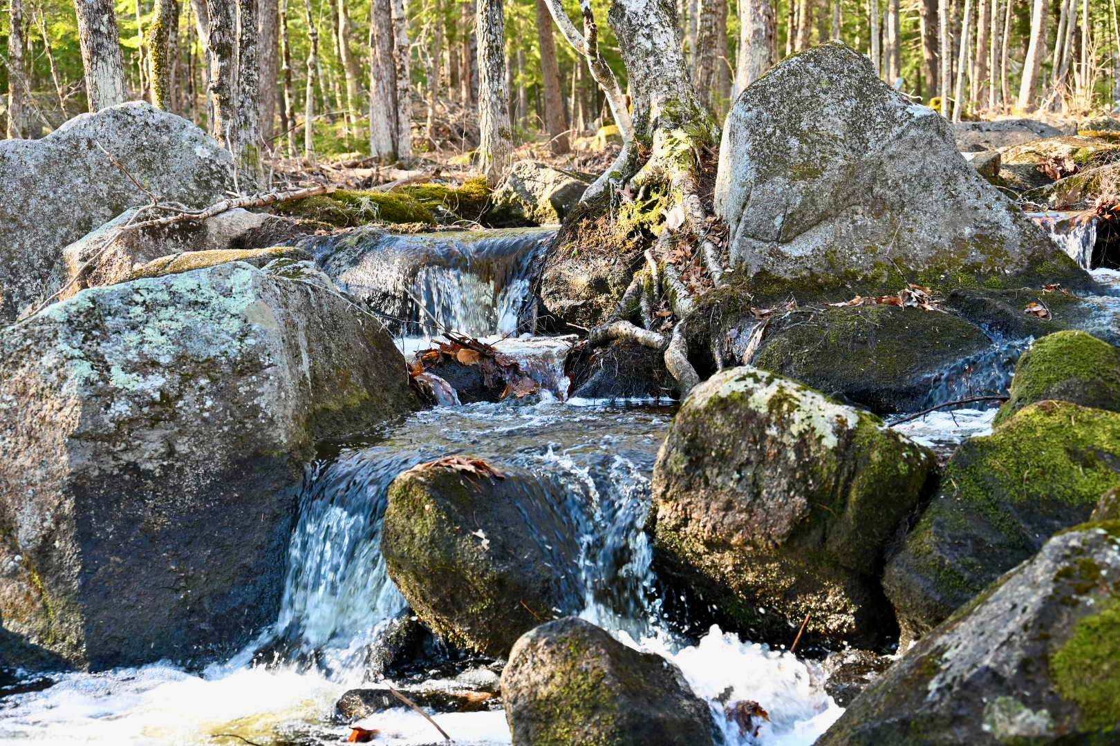 It is hard to capture the whole cascade in one picture, there is so much to look at, It is constantly changing and always awe inspiring.