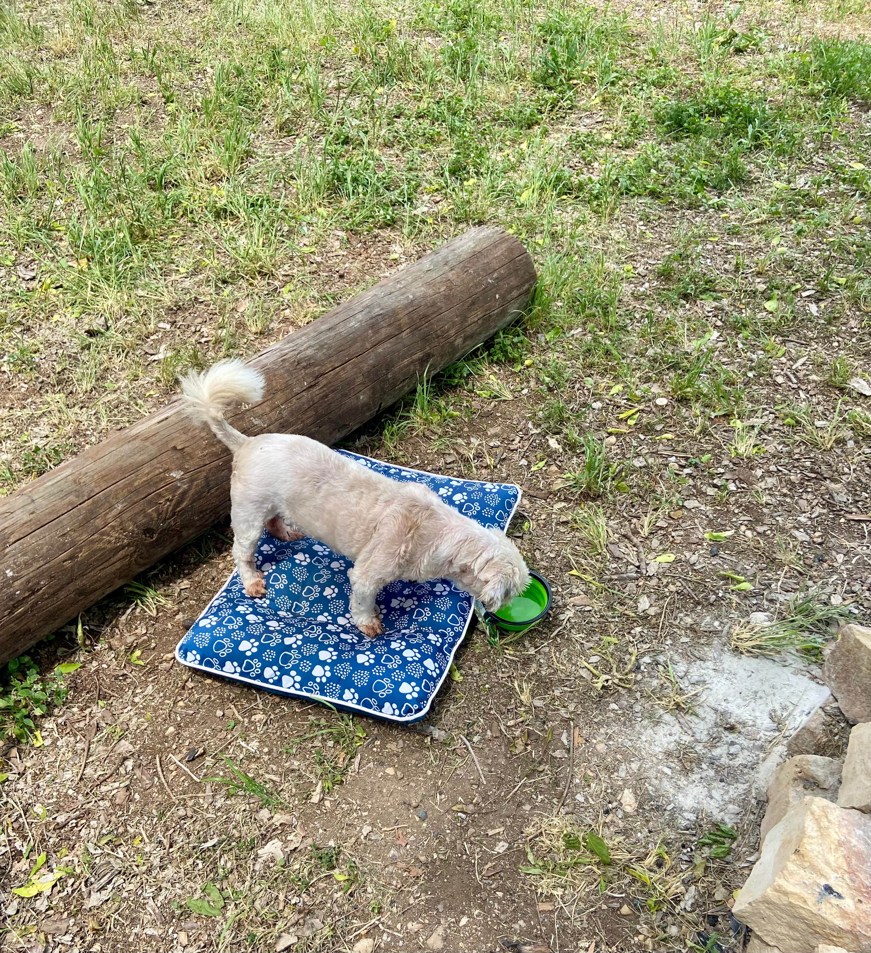 McDonald Farm on the River