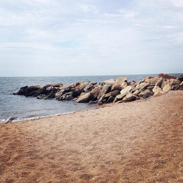 Serene Shoreline Retreat Farm House