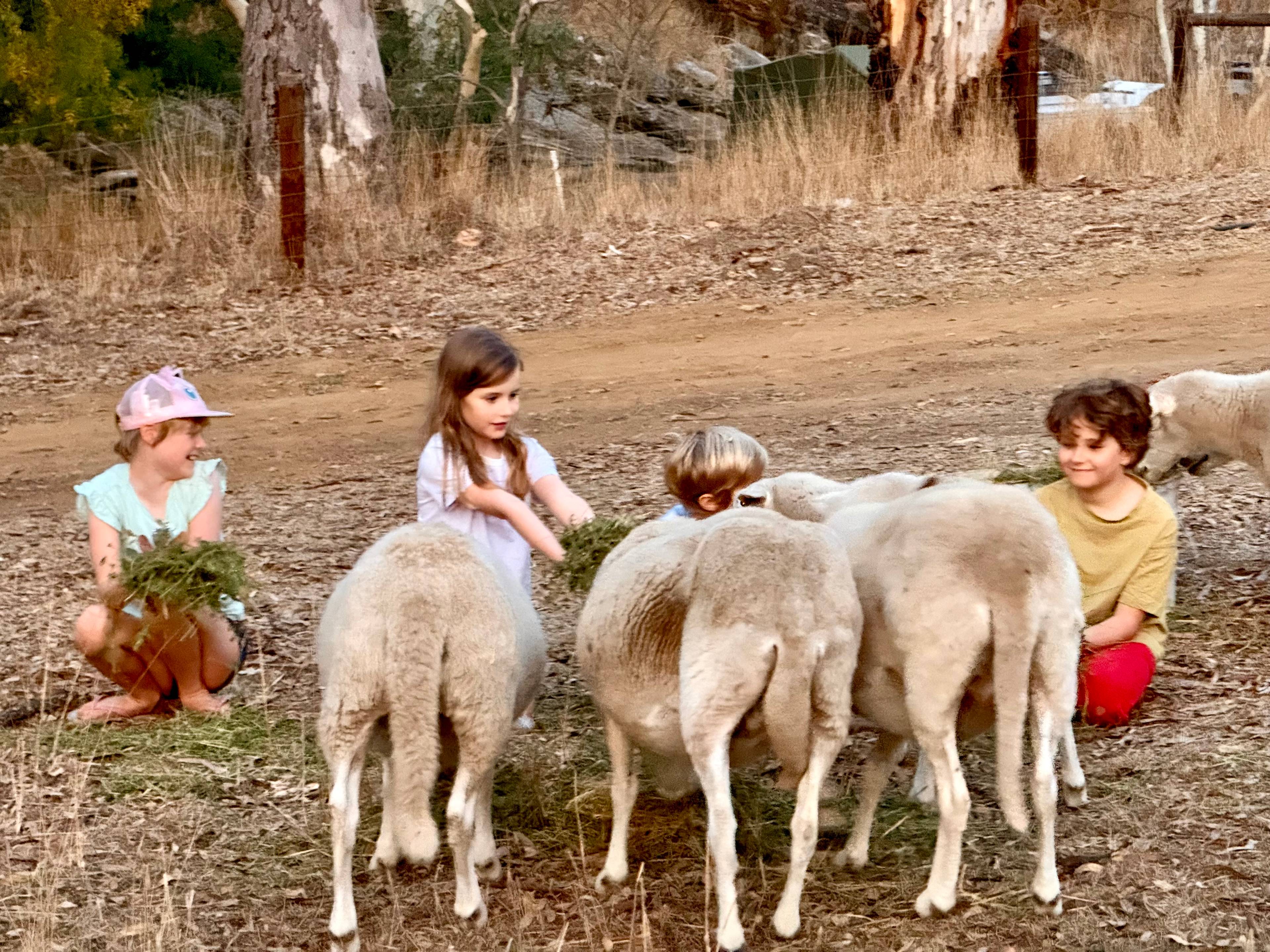 Sunset Rocks Farmstay