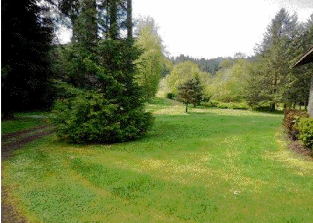 Bear Alley Campground