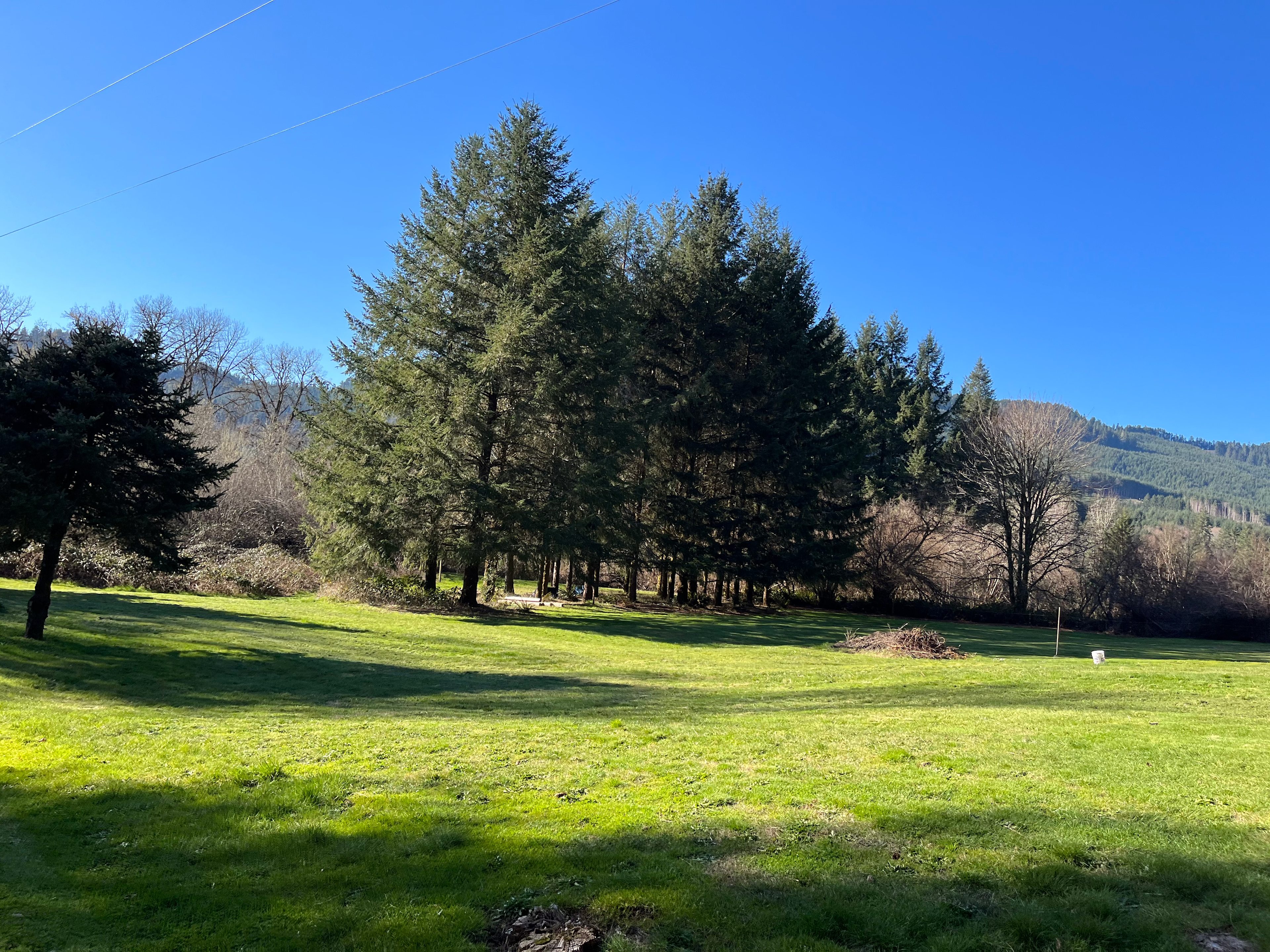 Bear Alley Campground