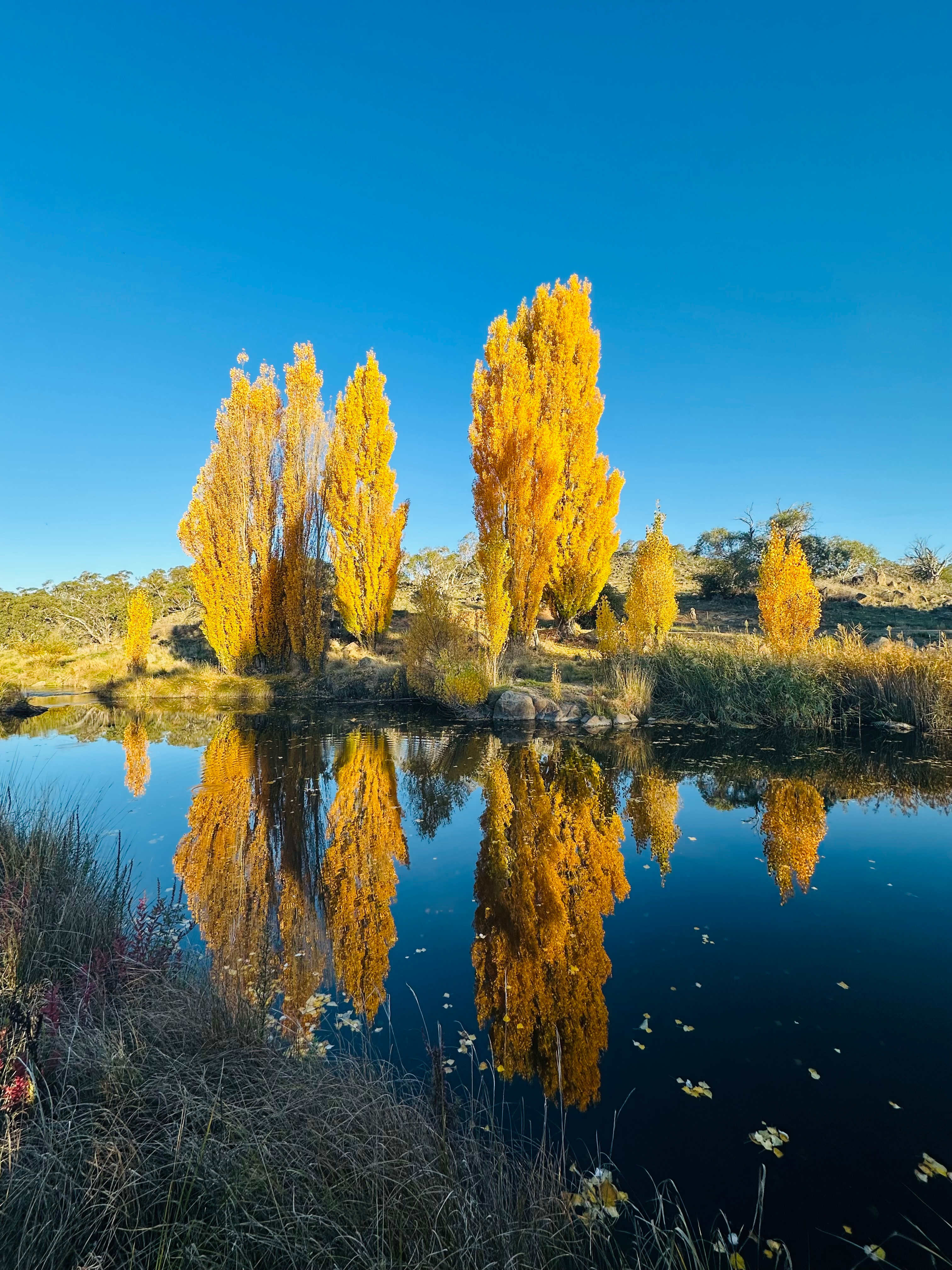 Jacarry Rocks Retreat, Jindabyne