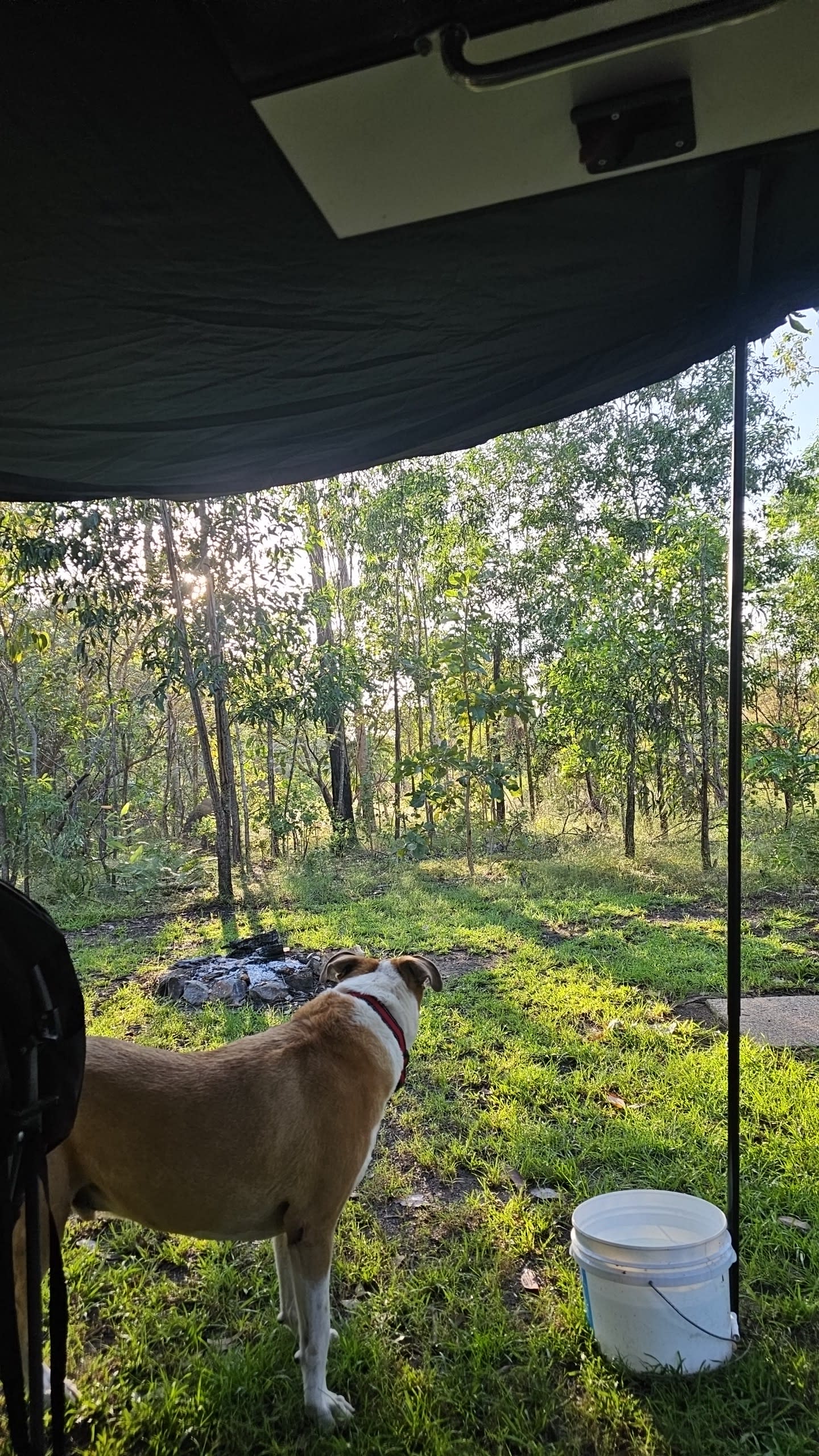 Camp 2 