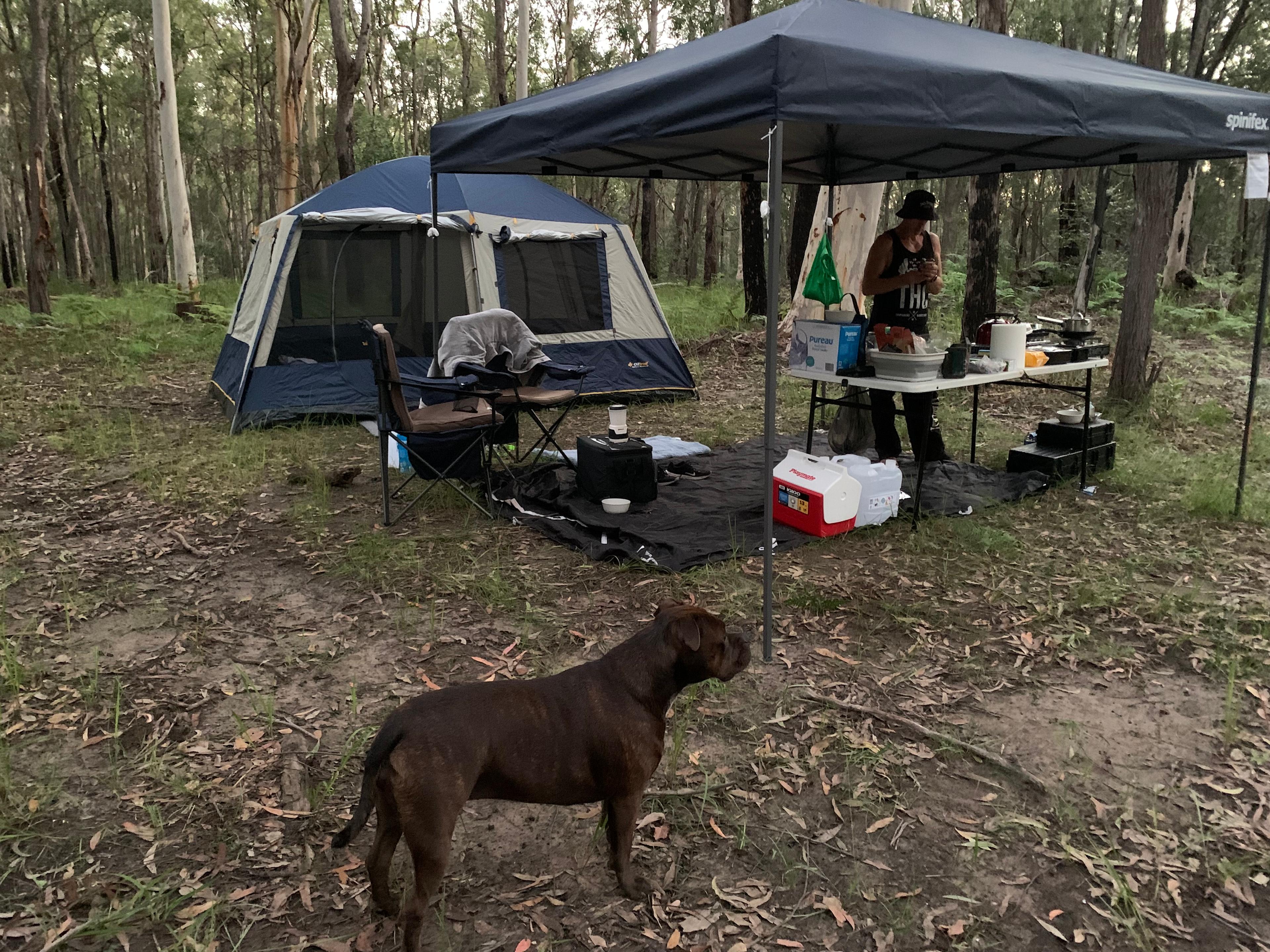 Shark Creek intheBush Camp