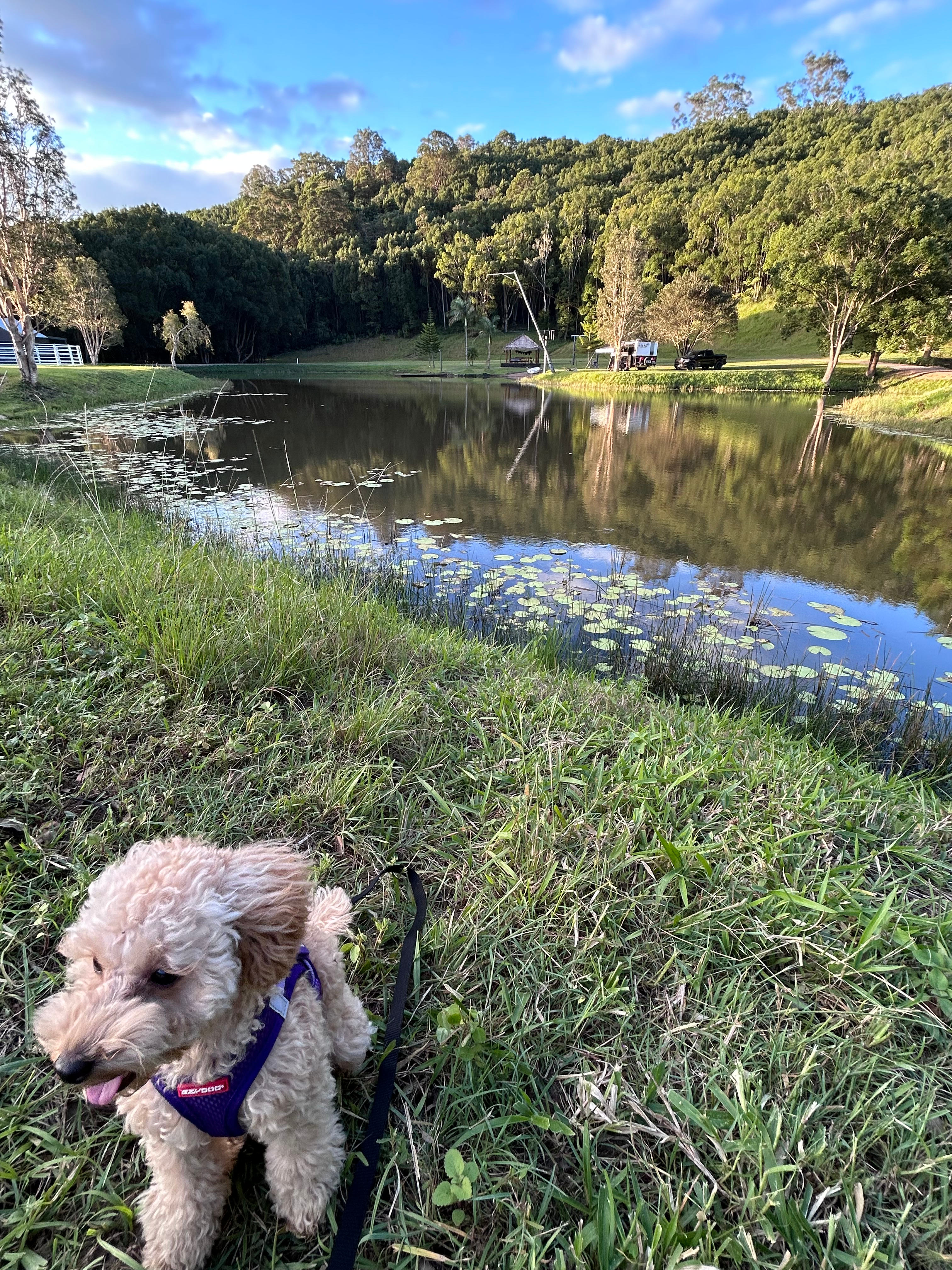 Plenty of room to run