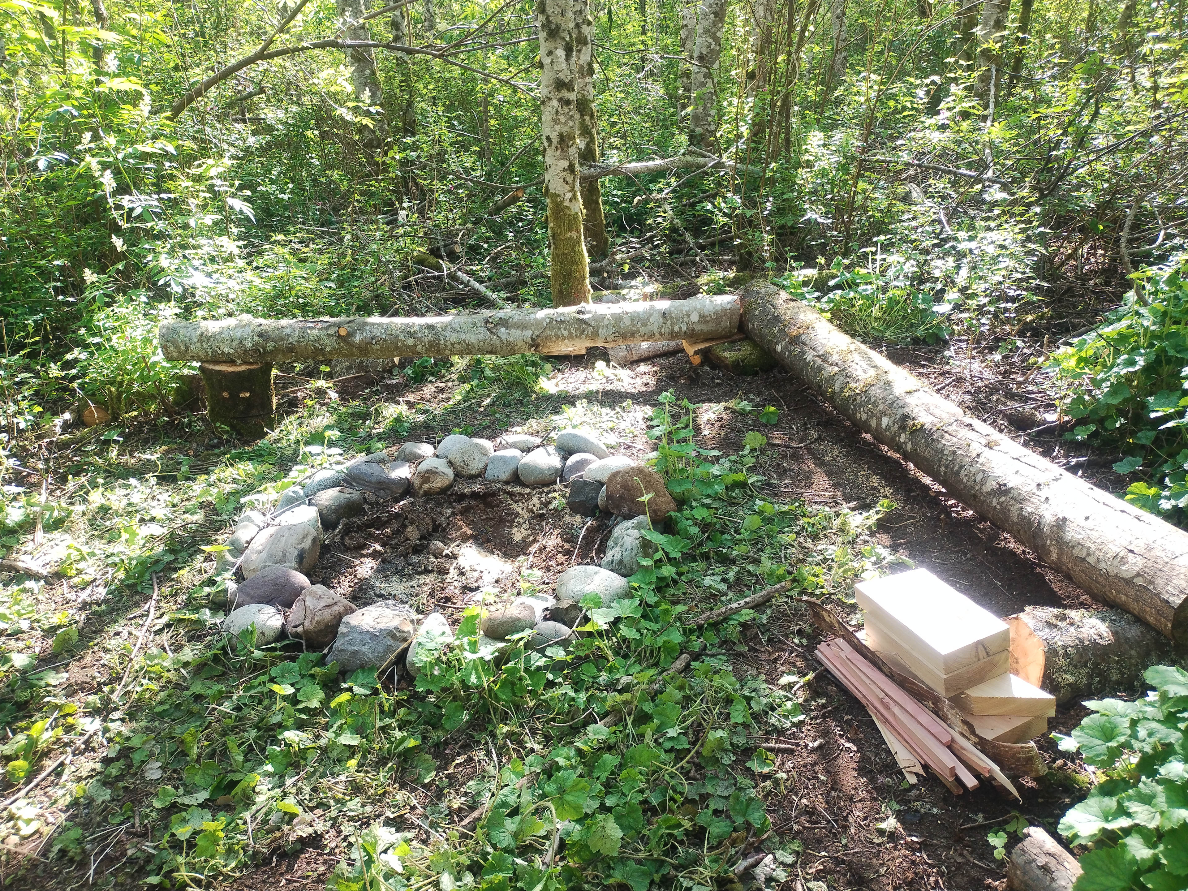 Gooseberry point off-grid homestead