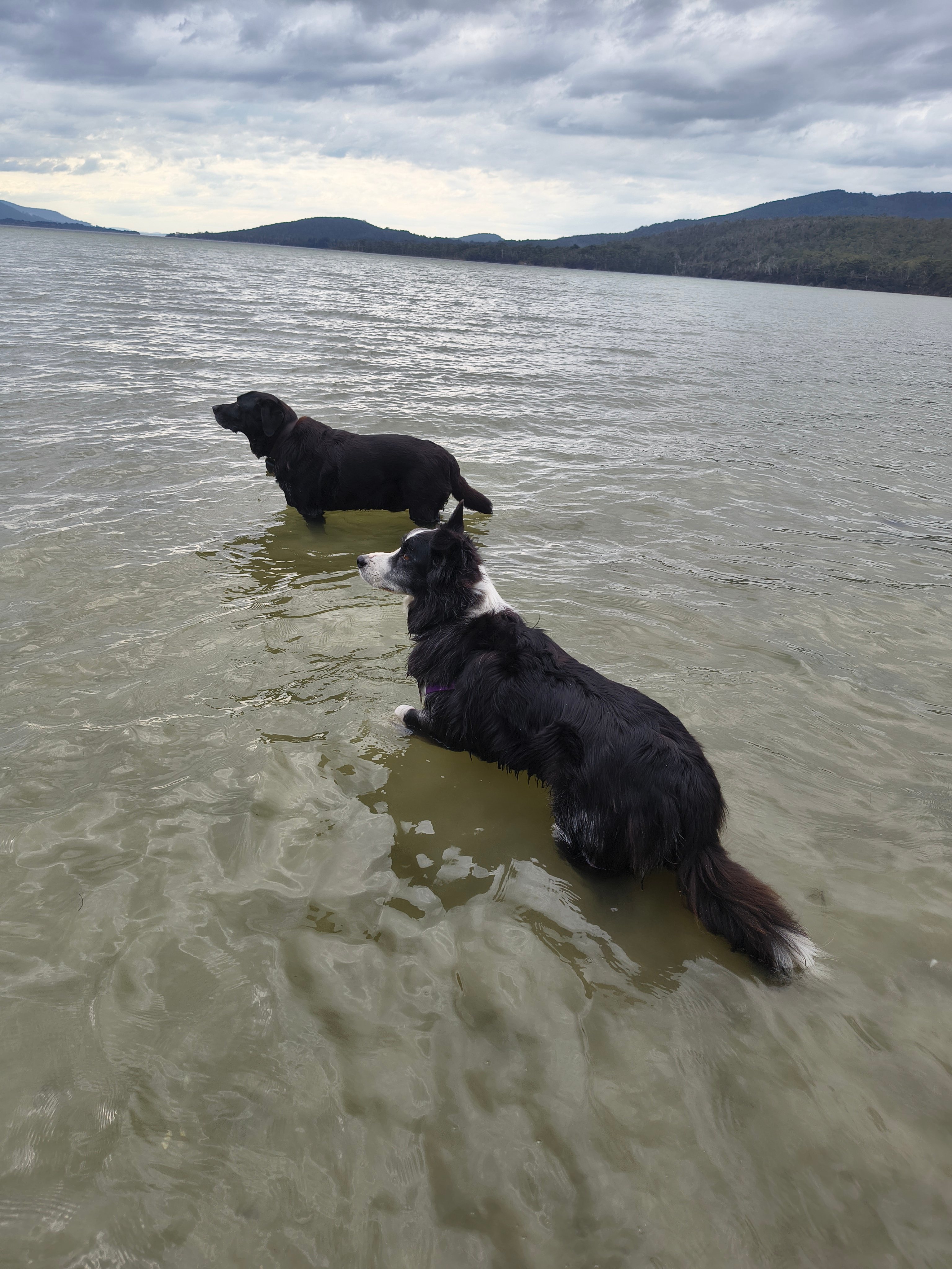 South Bruny Paradise