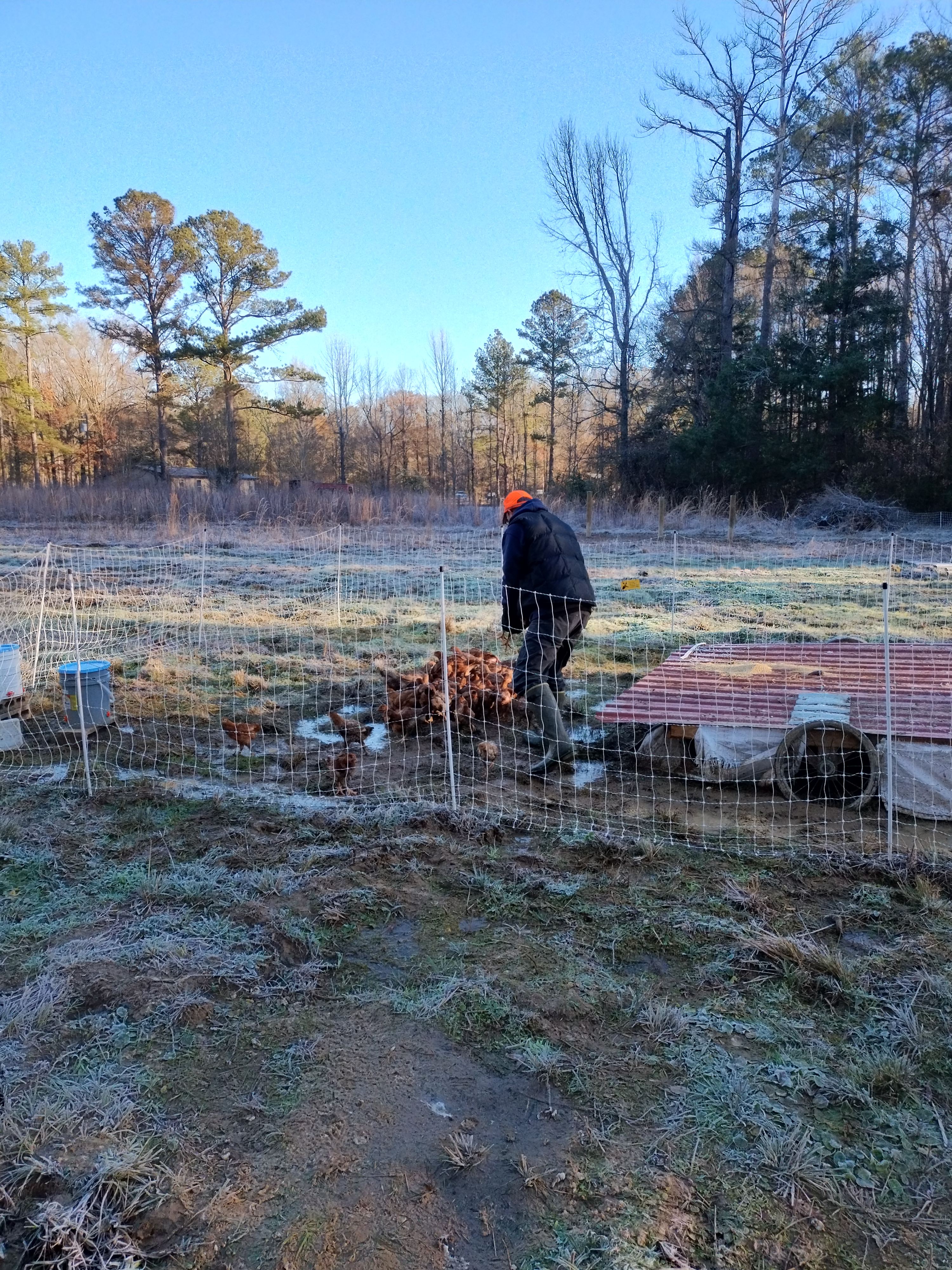 Natchez Trace Resting Place