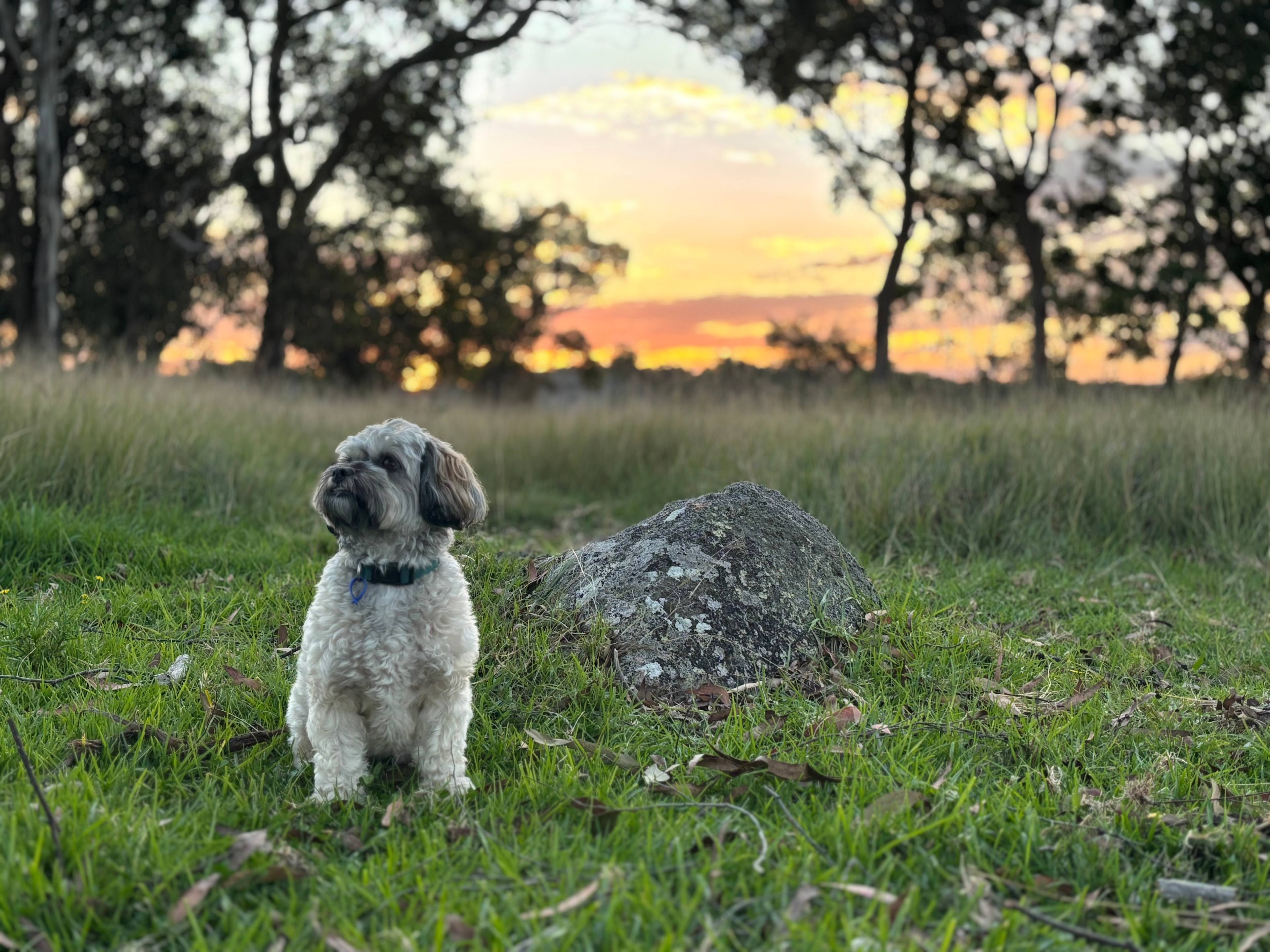 Ruby Rest