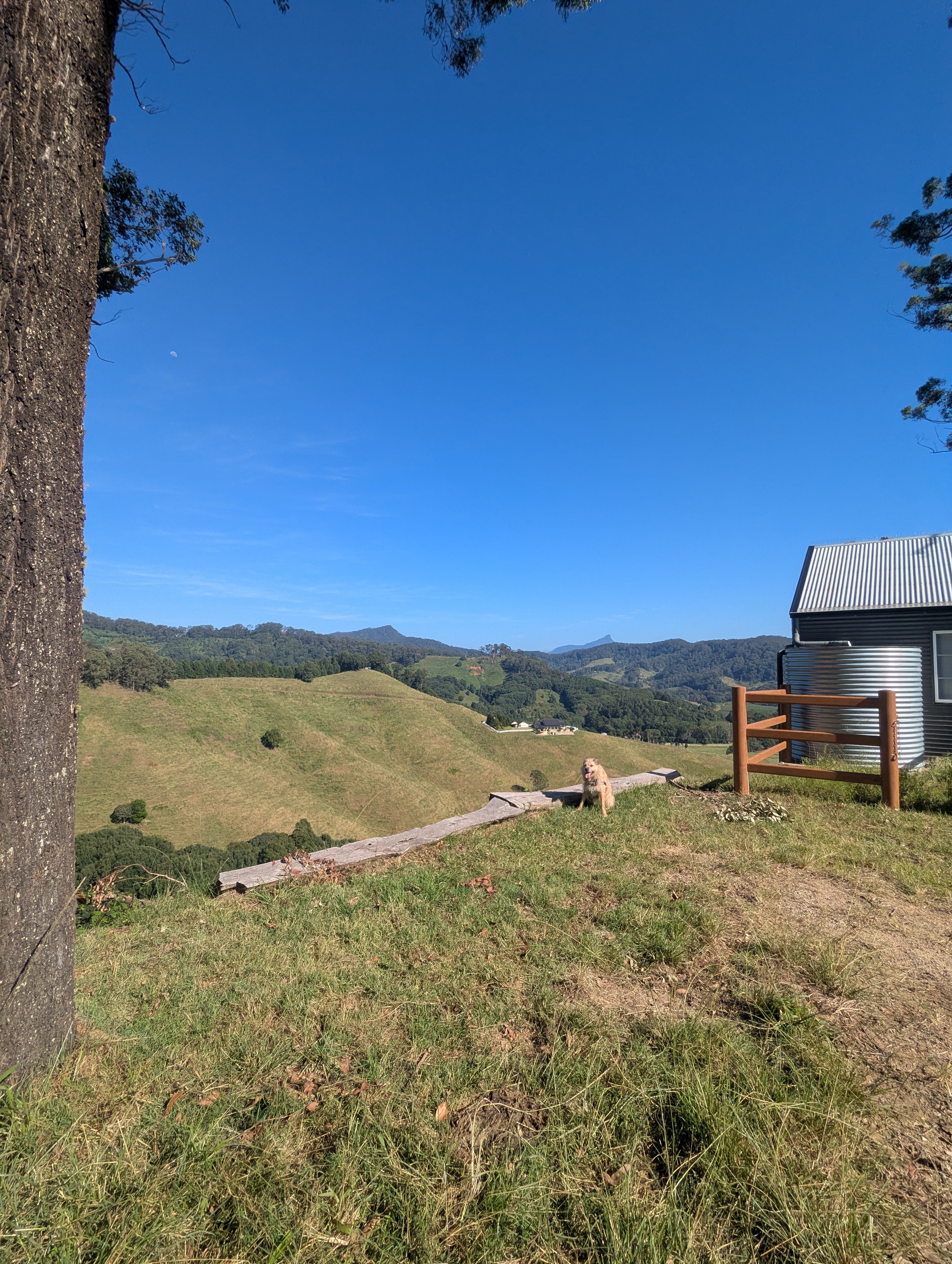Callemondah Farm Campsites Near Byron Bay