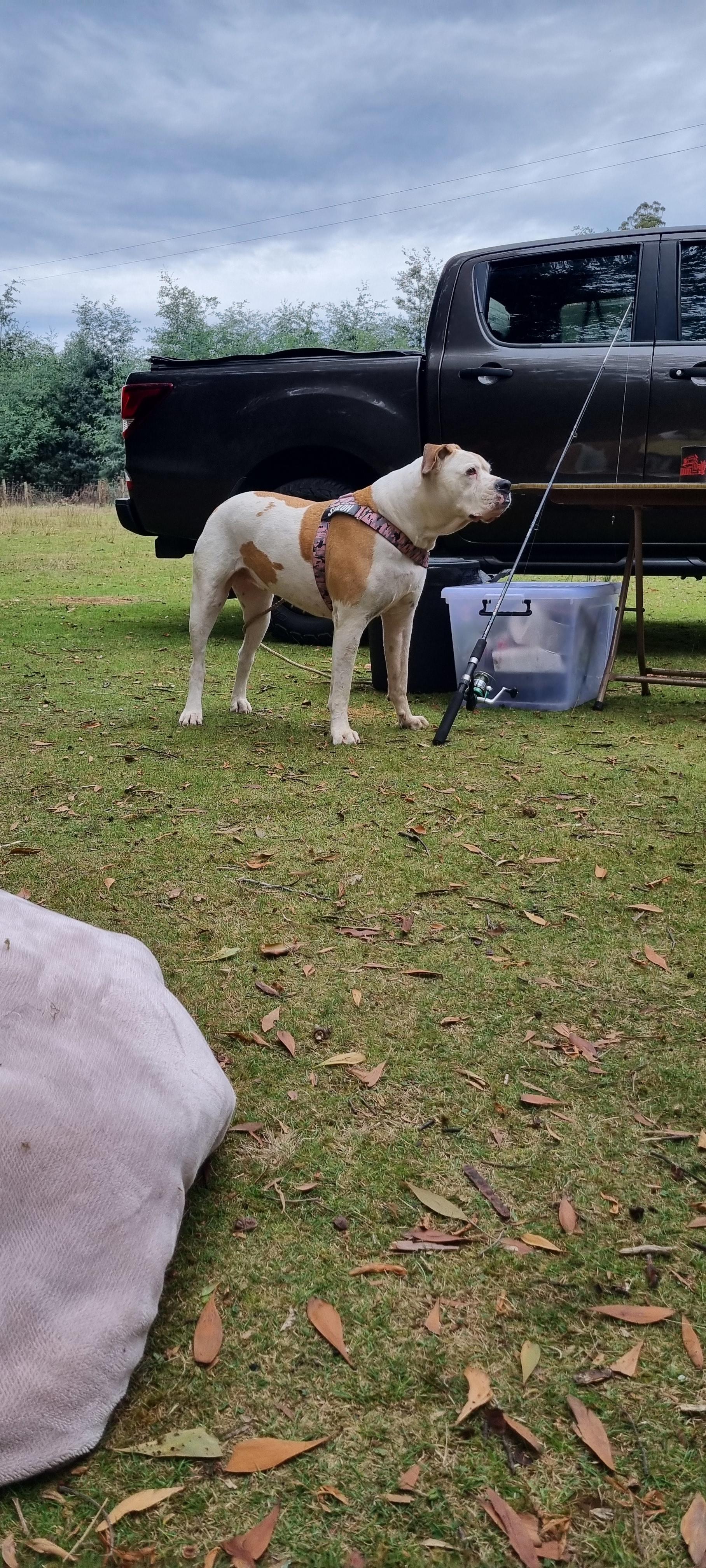 Shiloh enjoyed her stay.