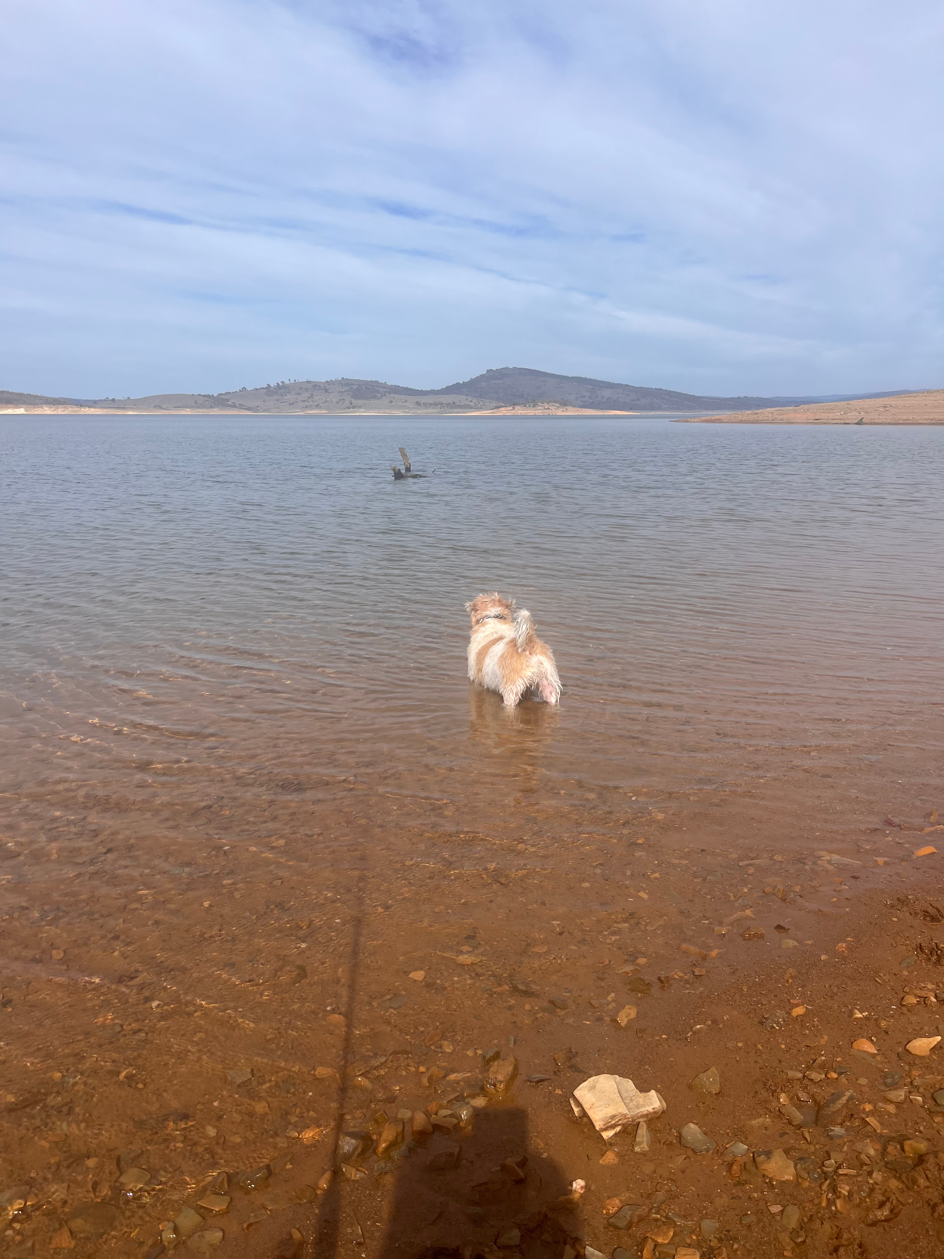 Rainbow Pines Tourist Park