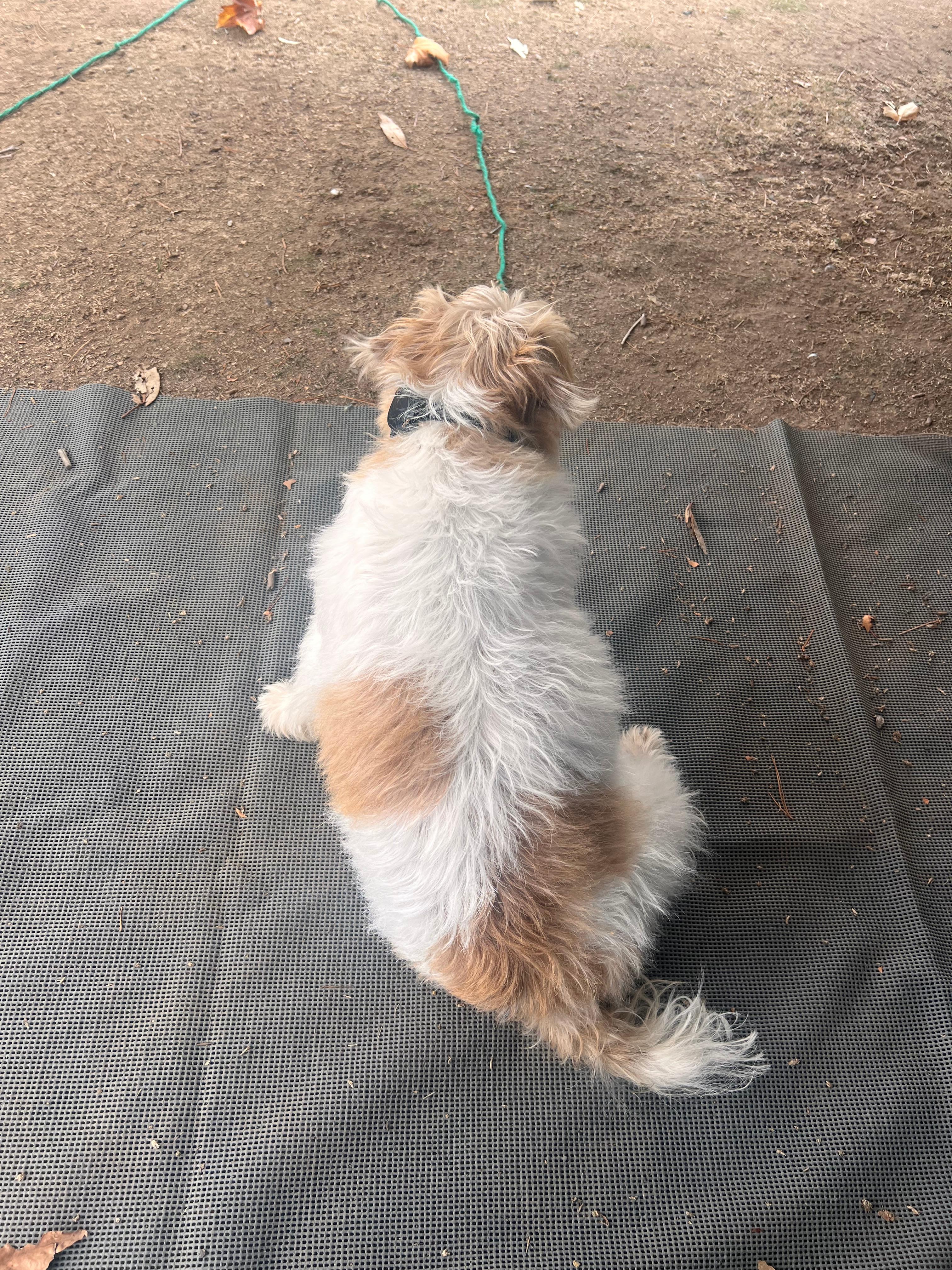 Rainbow Pines Tourist Park