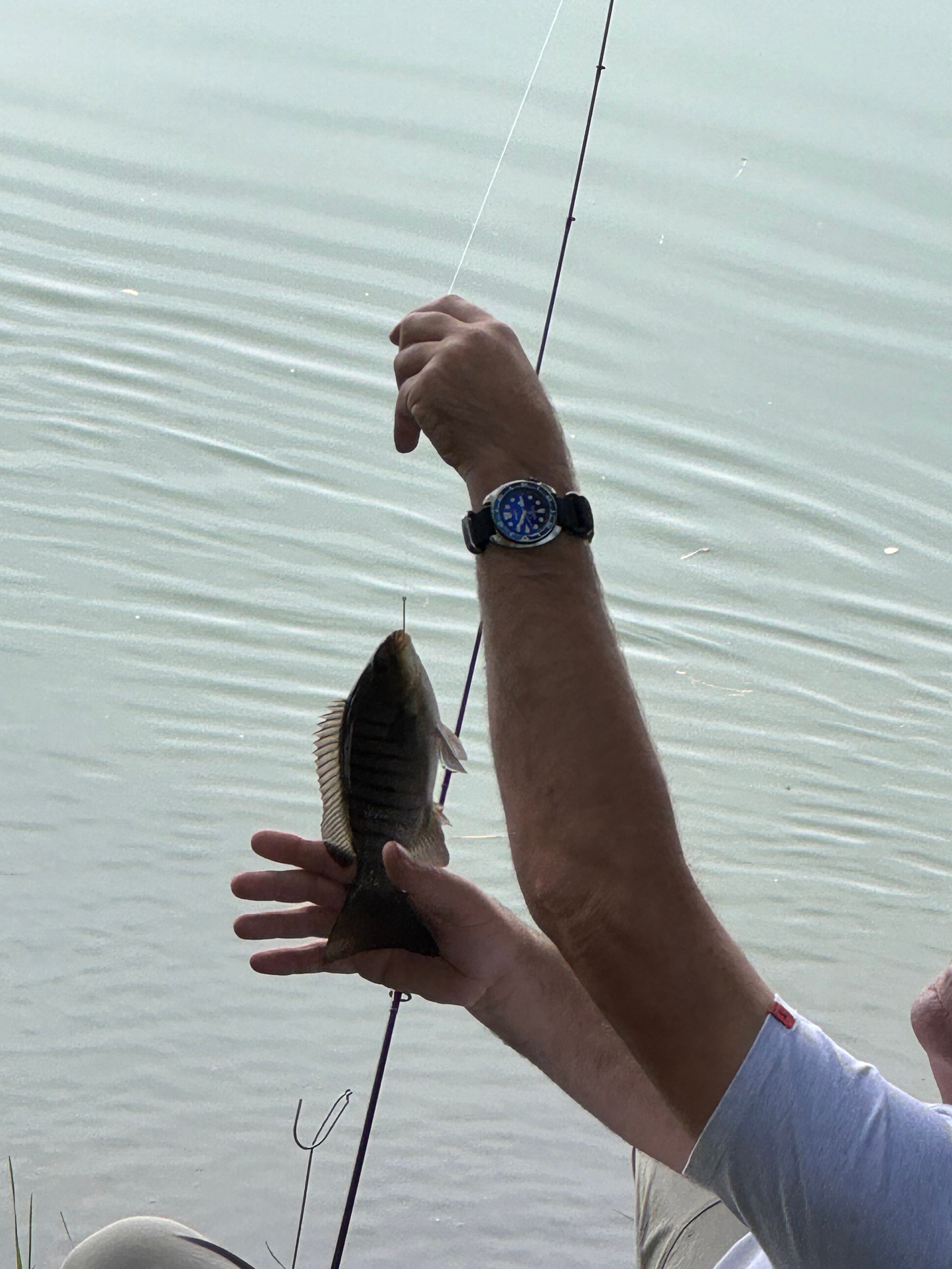 Glenduart Farm Riverside Camps