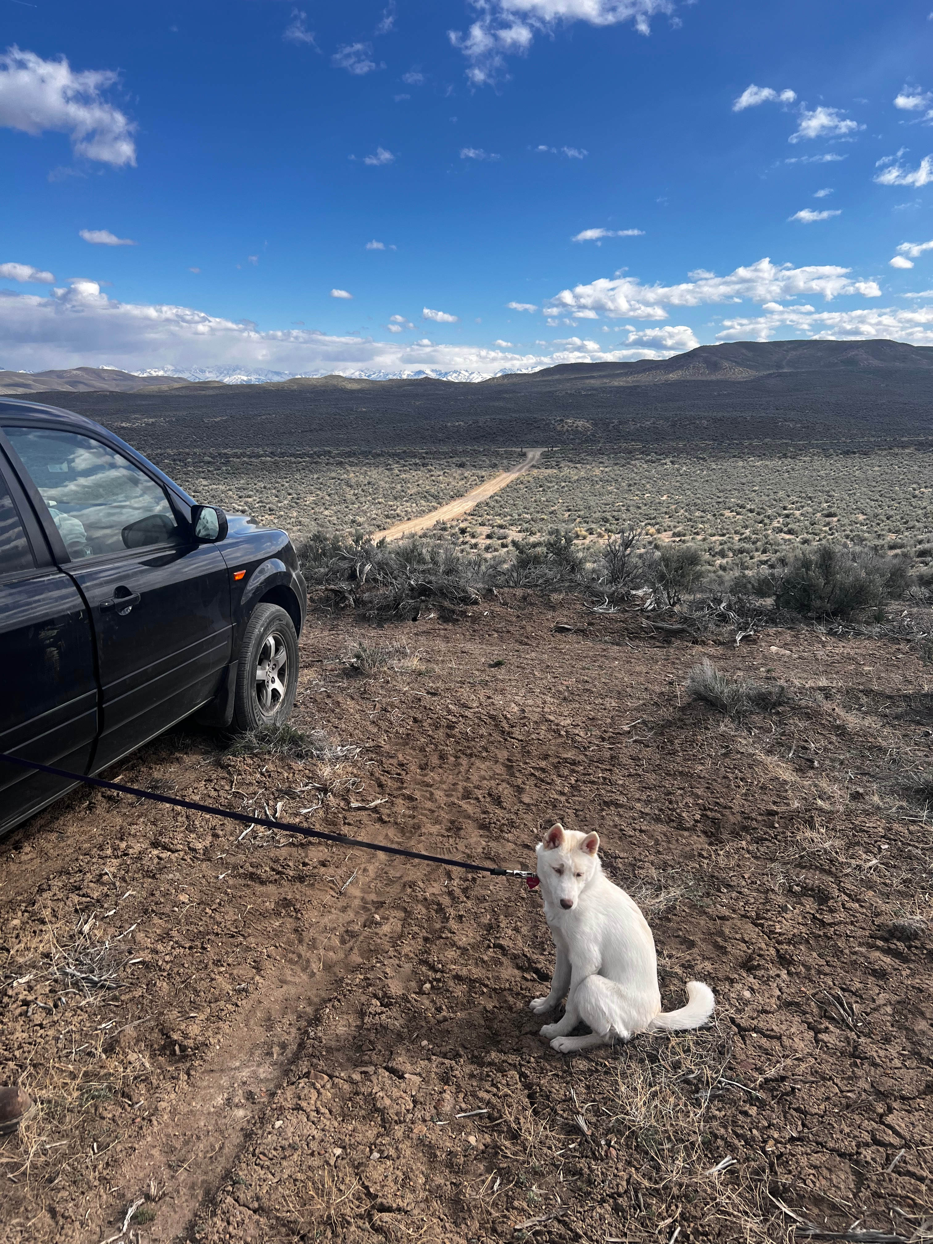  View from ridge site 