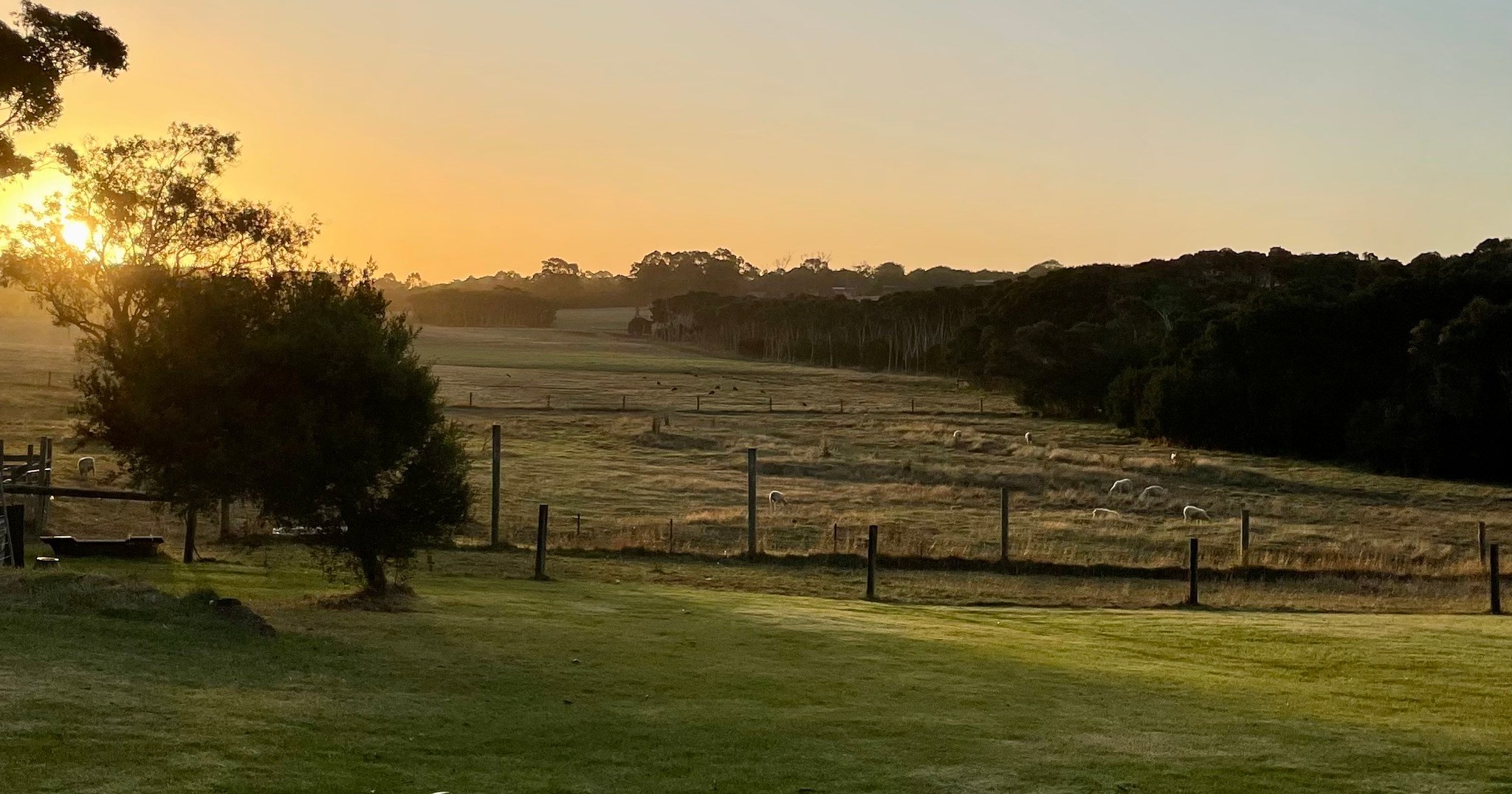 Green Gully Farmstay Camp Paddock