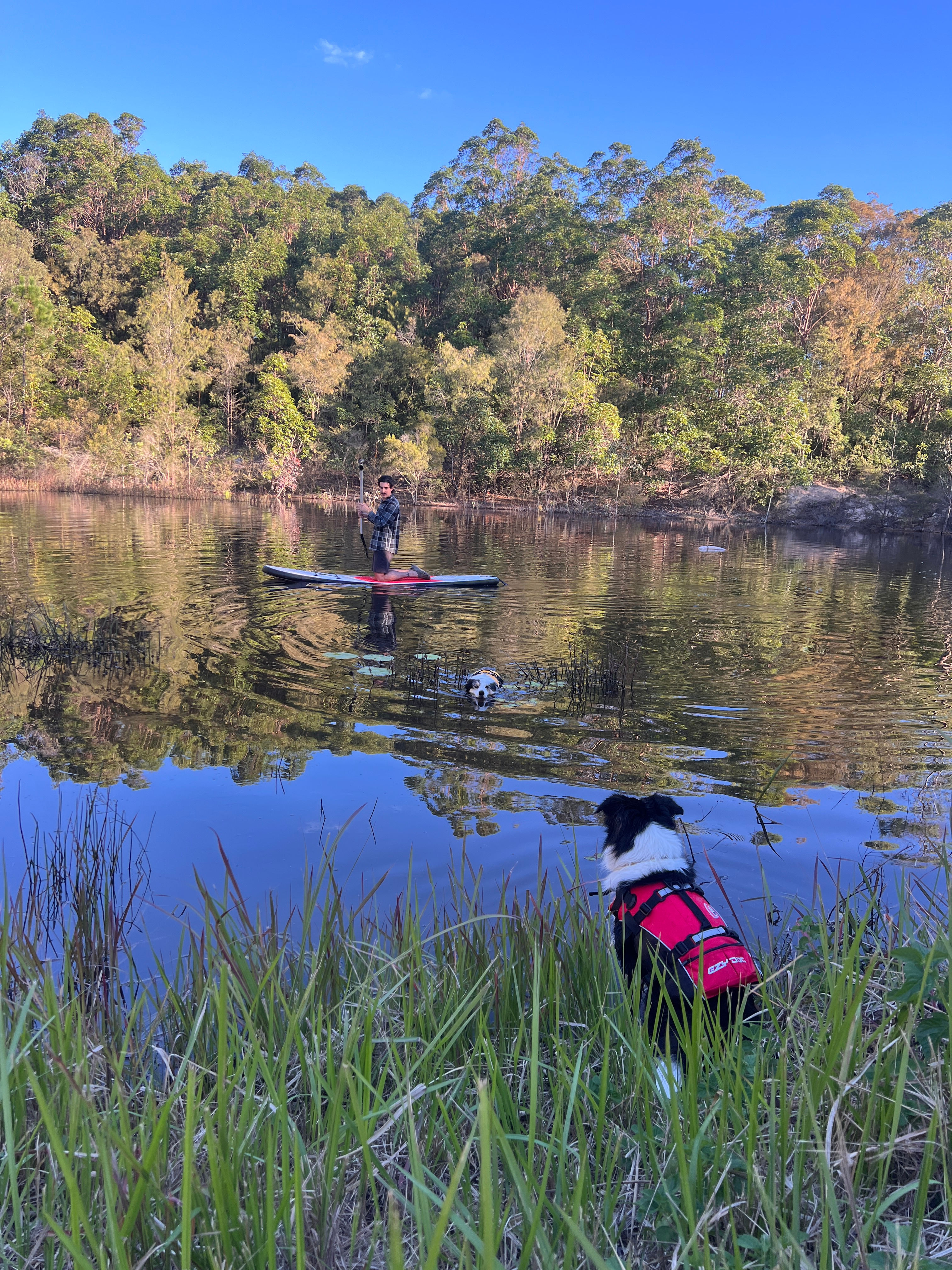 Hilltop Farm, Camping and Glamping.
