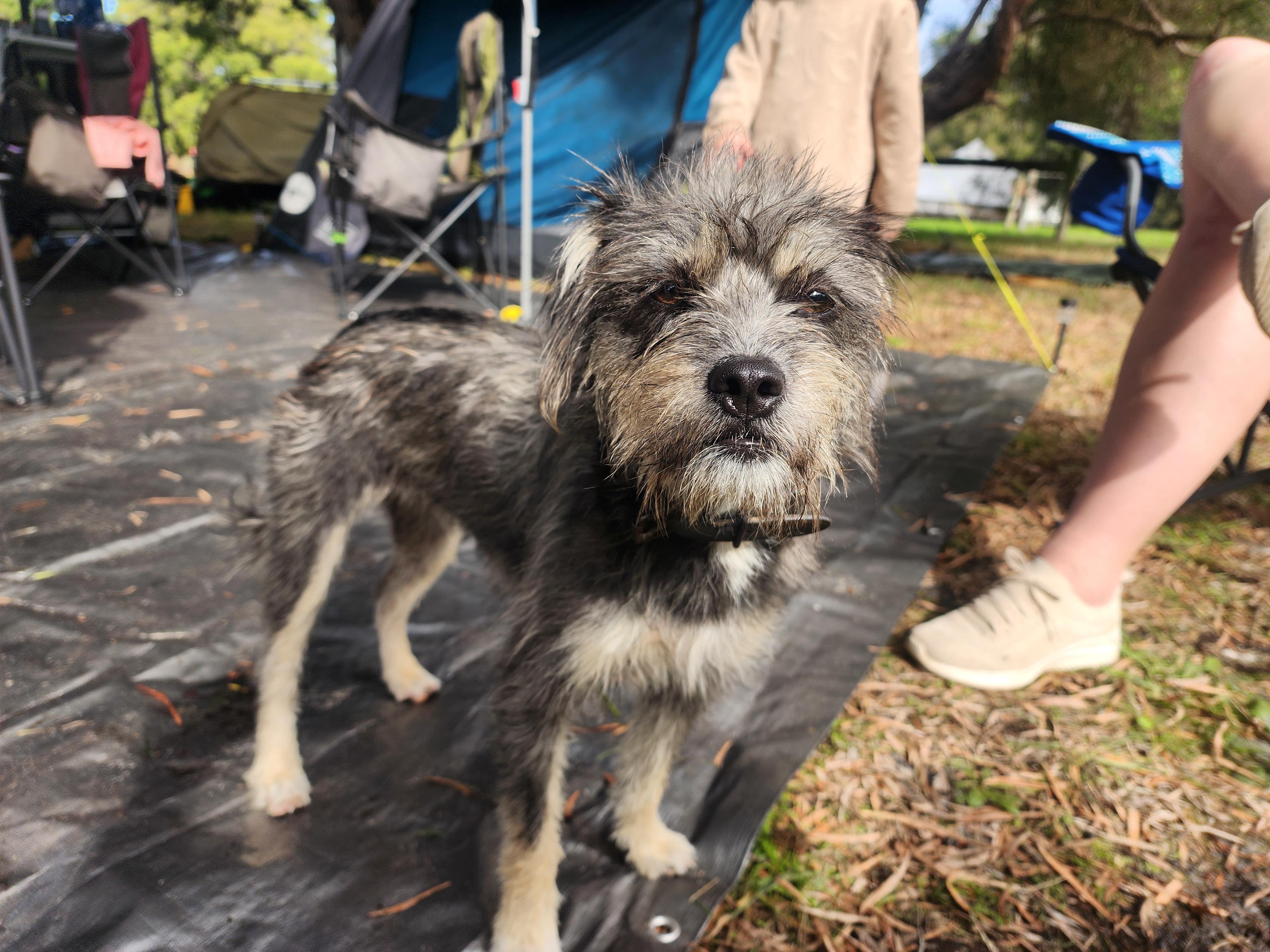 Grass Roots Deepdene