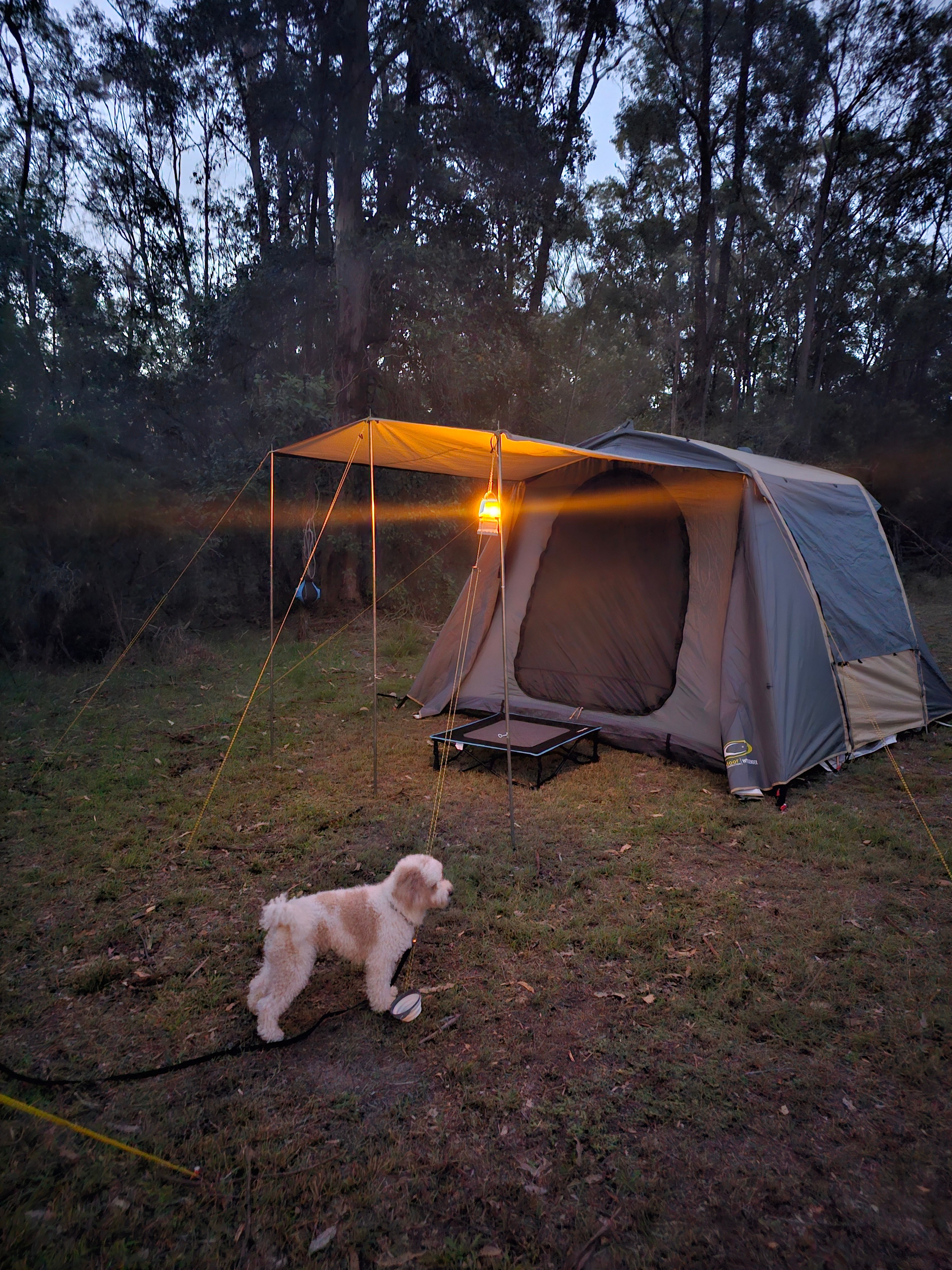 A taste of bush camping