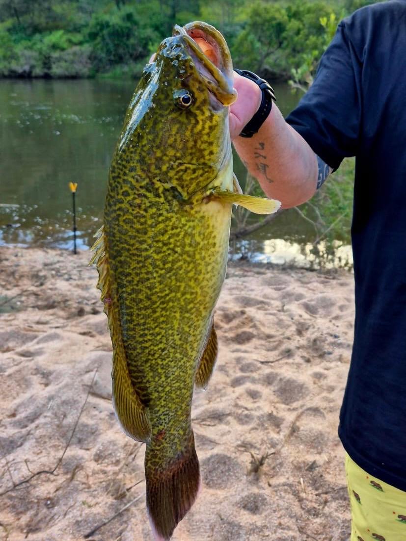 Eagle Ridge Bush Retreat