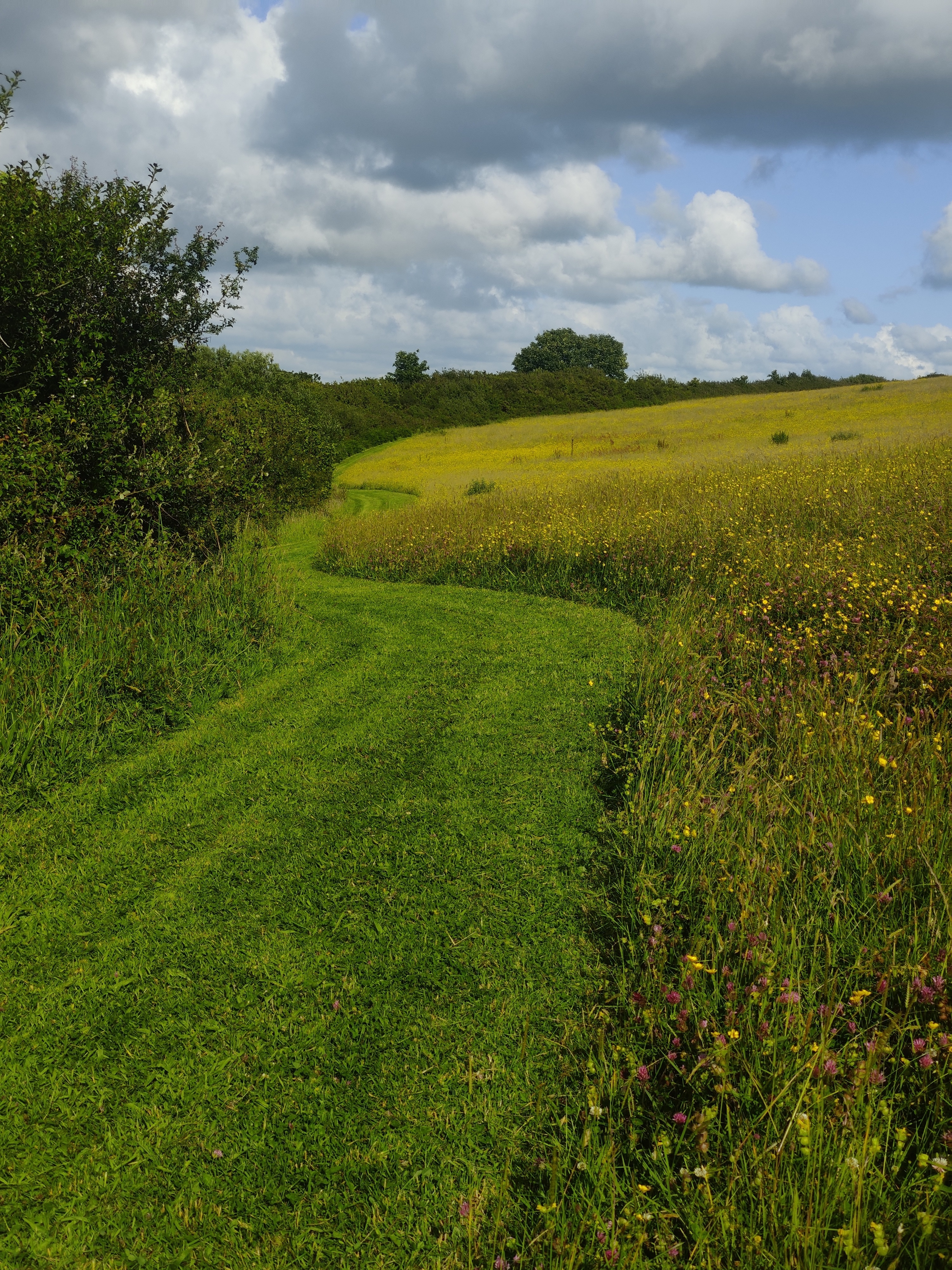 Higher Waytown Farm Camping