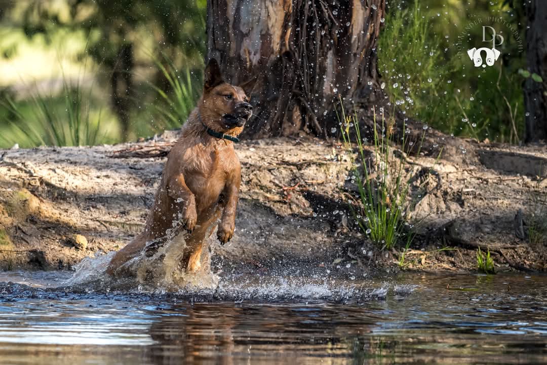 Donnelly's Keep @ Donnellys Castle