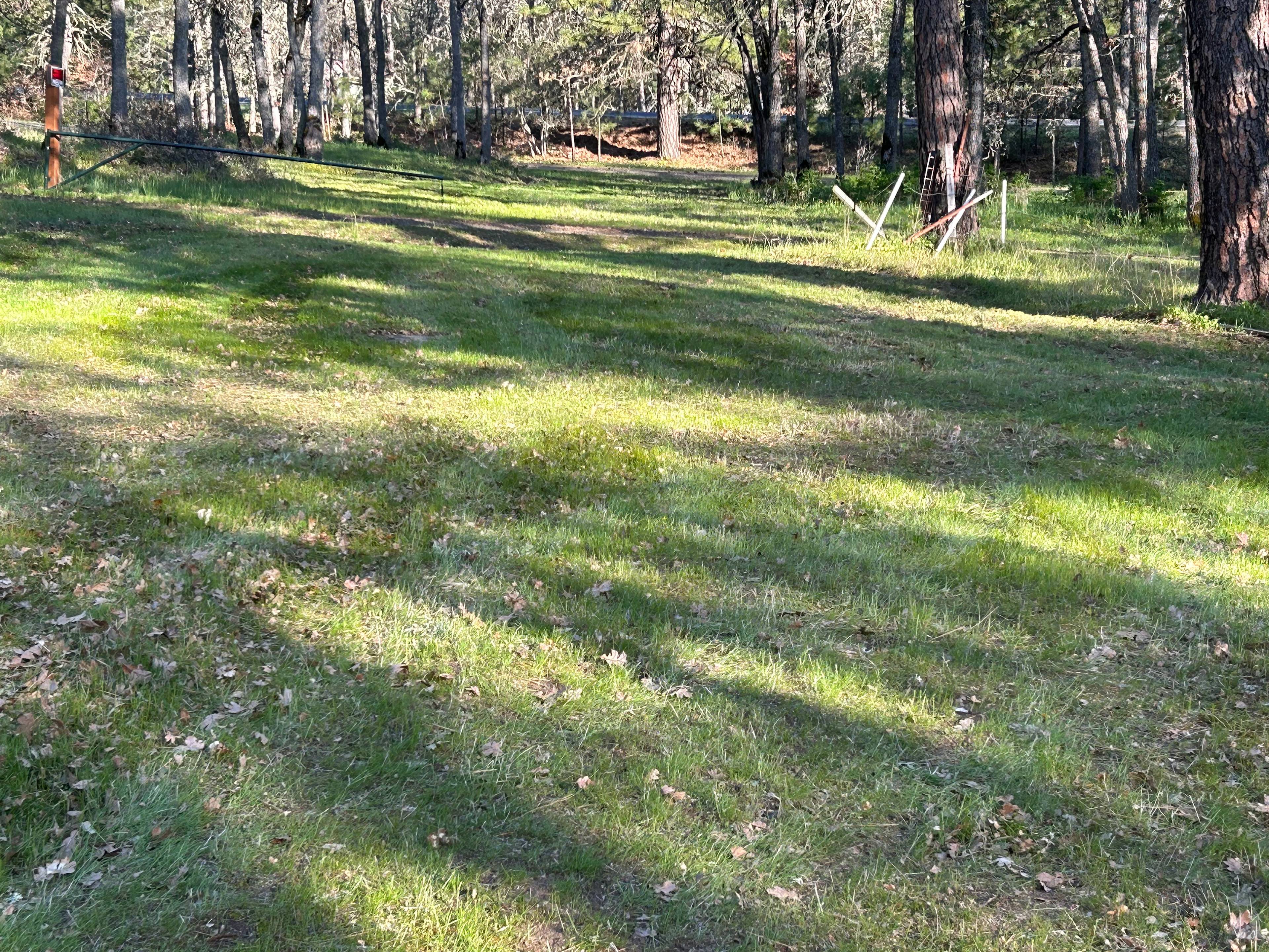 Site one, view from the end of the site to driveway