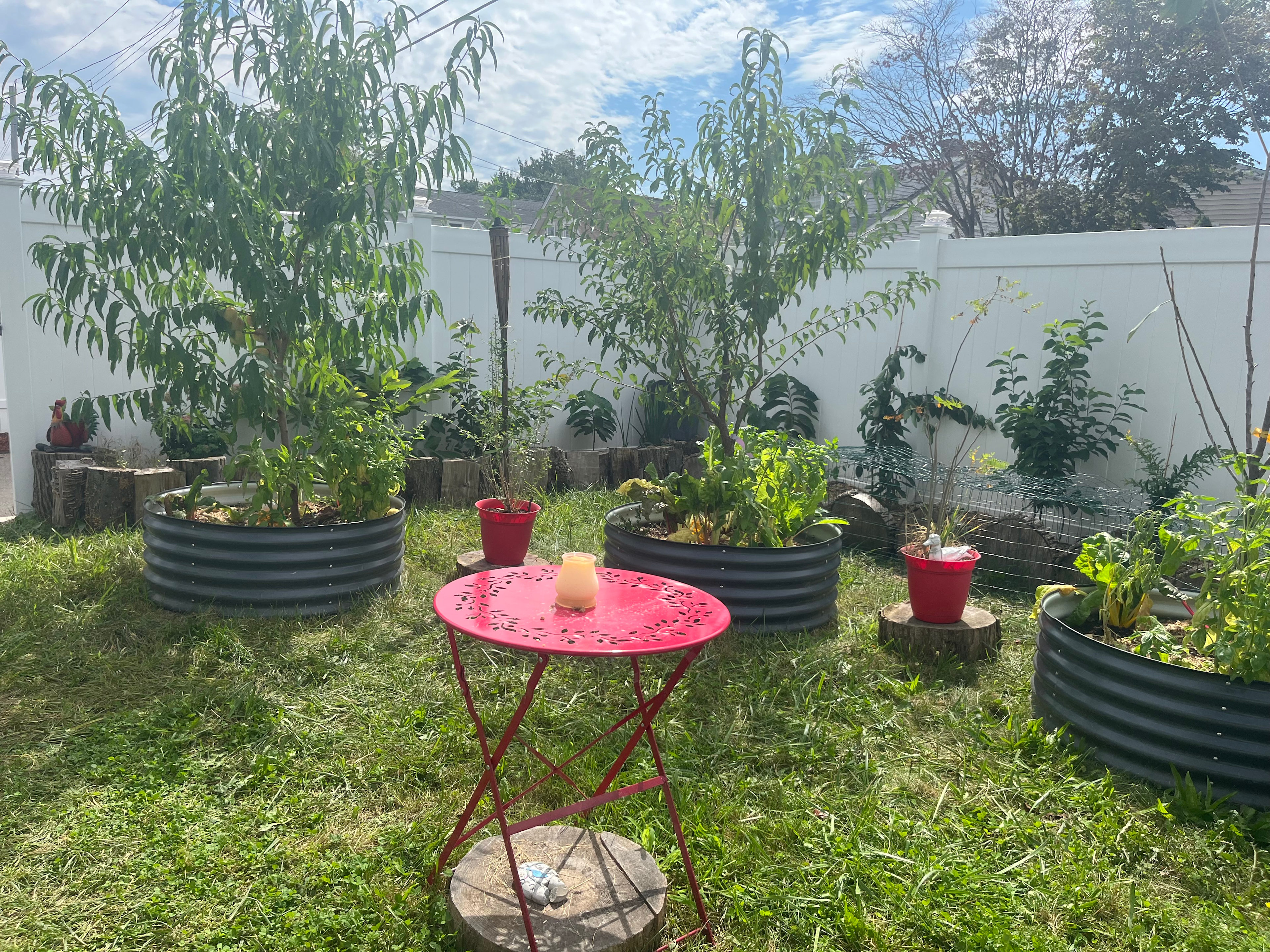 Serene Shoreline Retreat Farm House