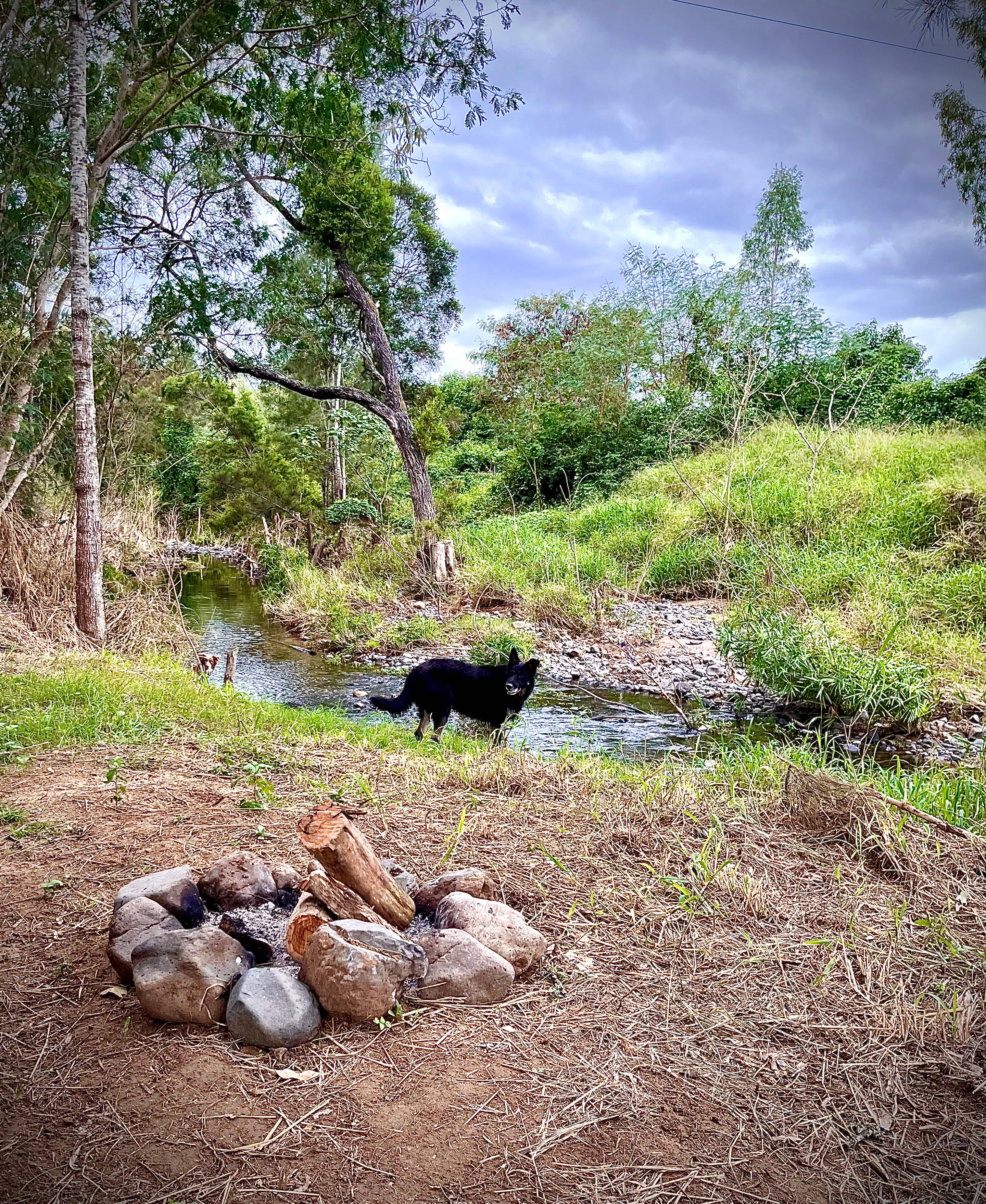 Creek campsite option - fires permitted (burn responsibly - gather free firewood) camp along fresh running creek - 4x4 access only