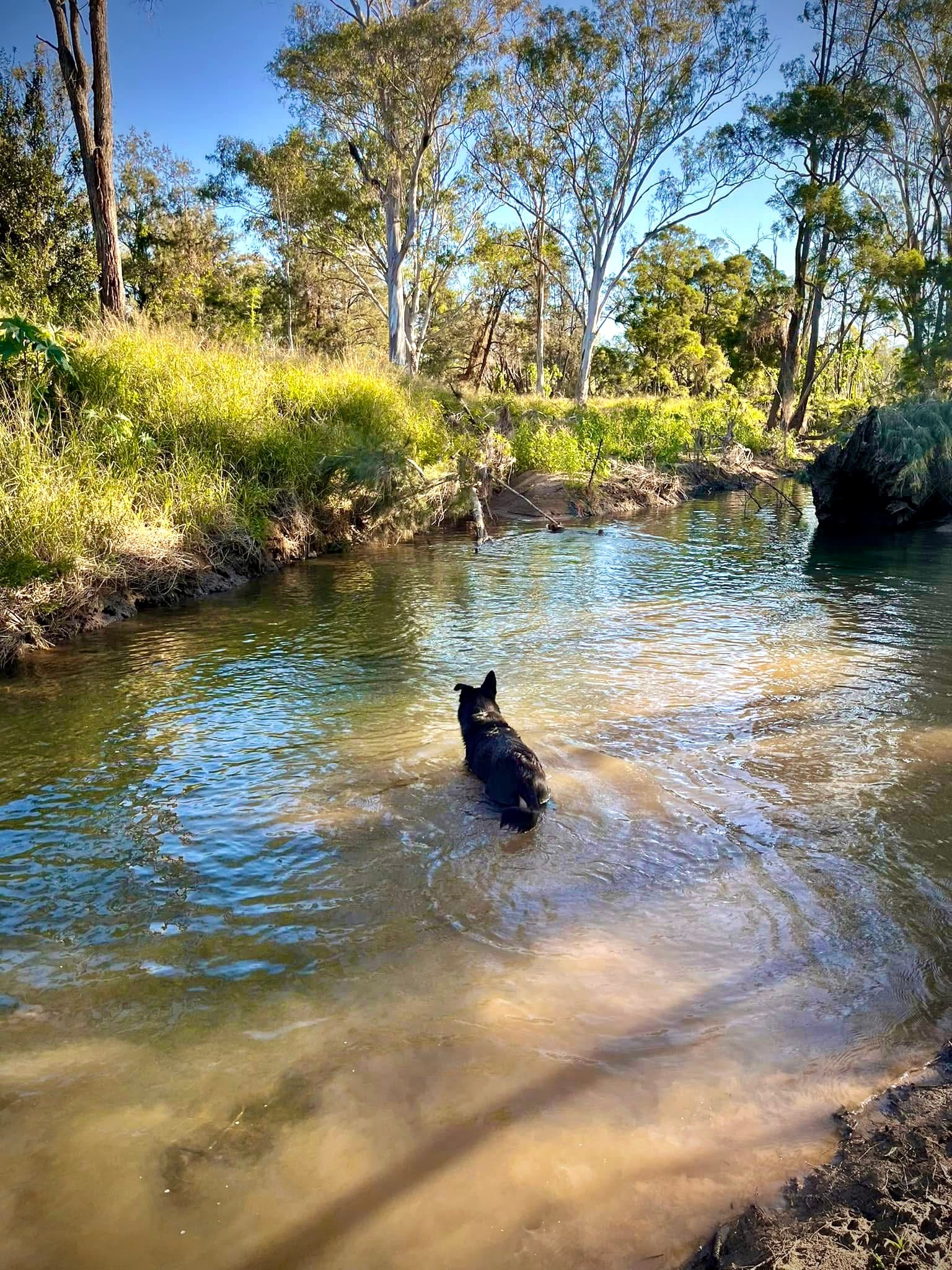 Creek campsite option - 4x4 access only