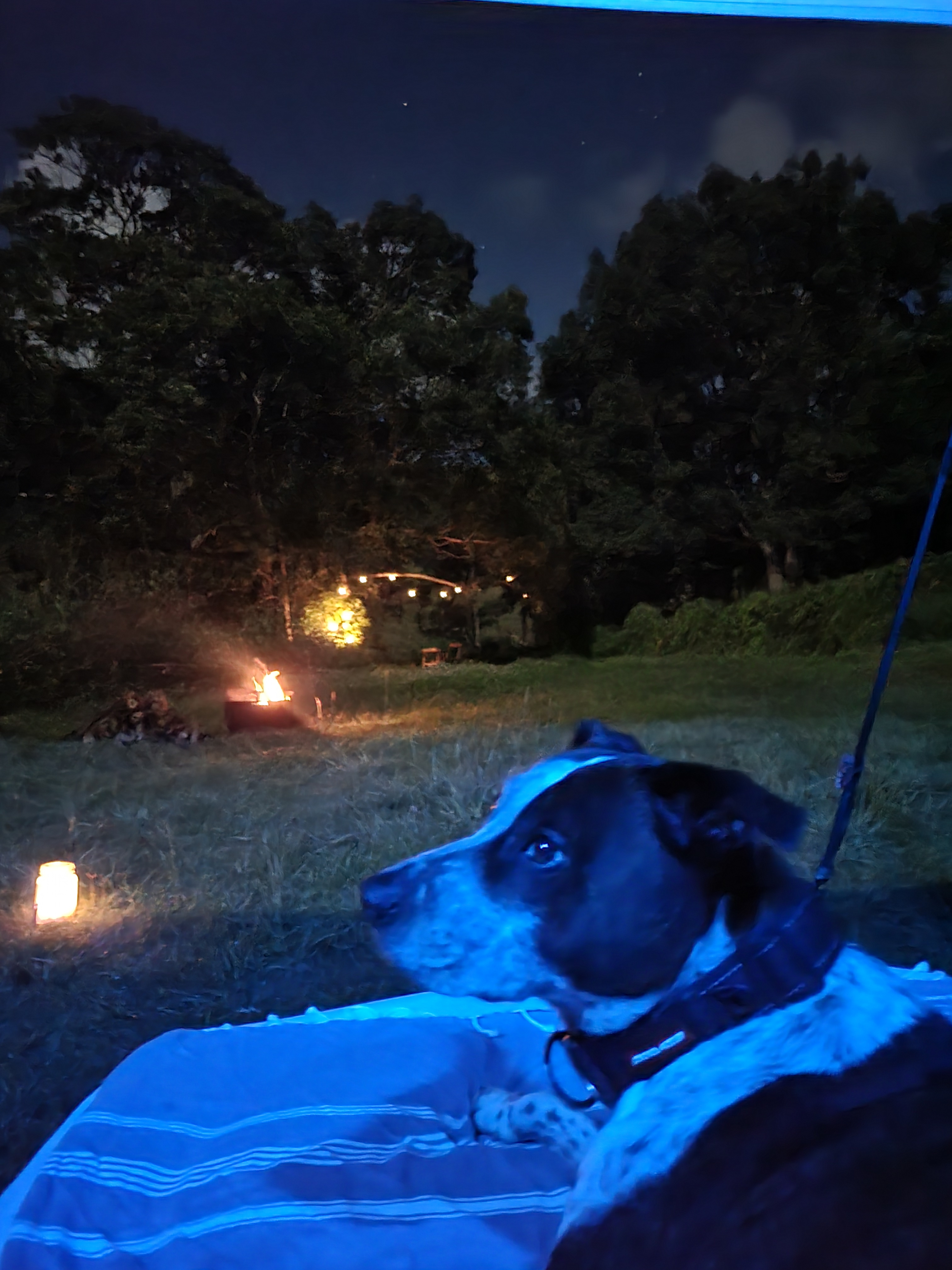 Looking to back of property down to fairy lights owner placed in tree. Firepit in the middle and a midgy candle near us 👌