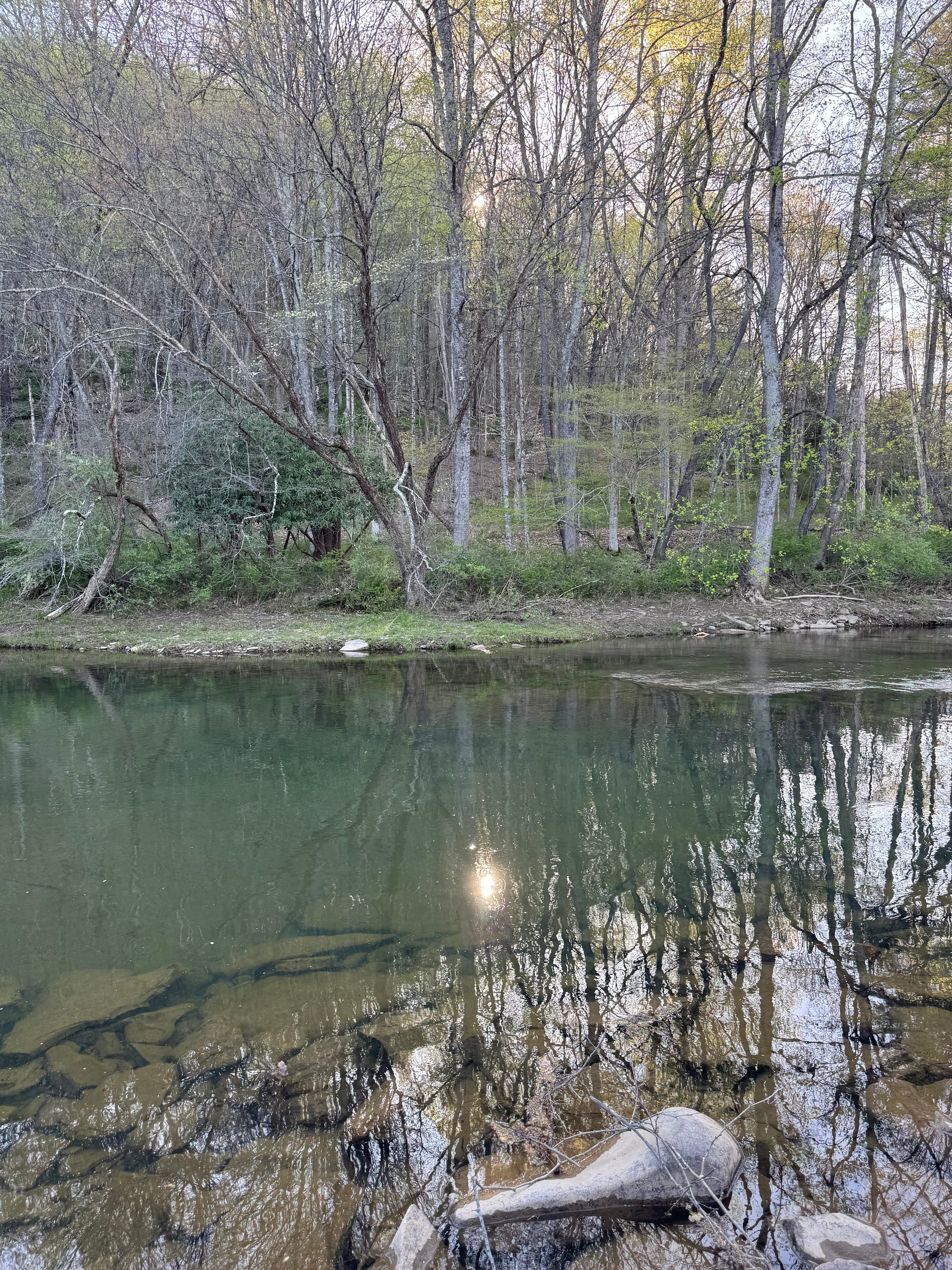 Knapps Creek Getaway