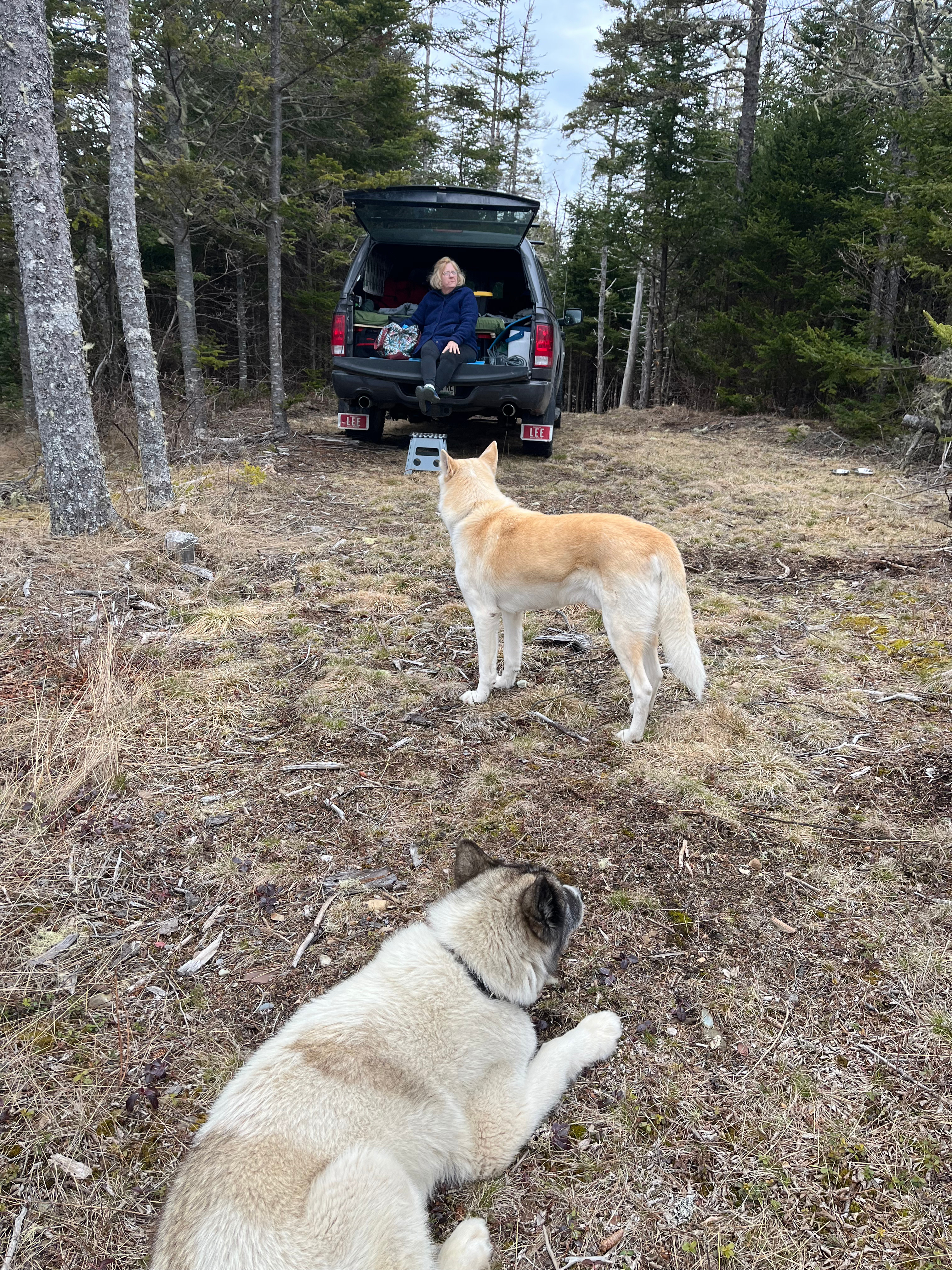 Wild Islands Camping by the Sea