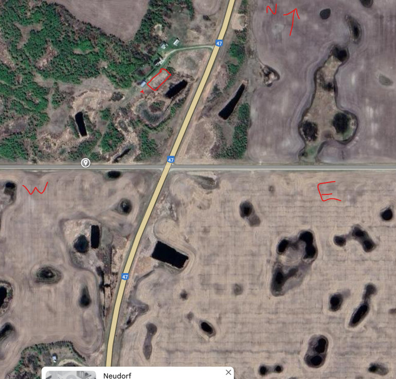 Where the Wild Things Are