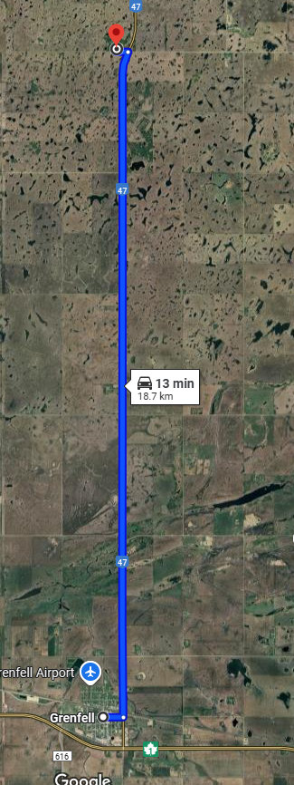 Where the Wild Things Are