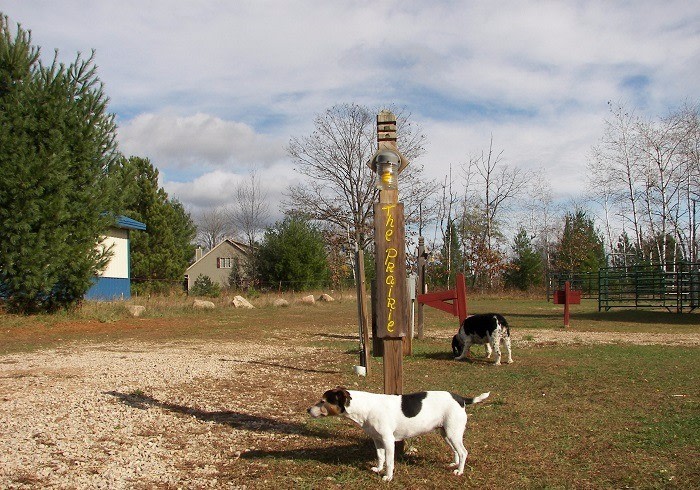 Spur of the Moment Ranch