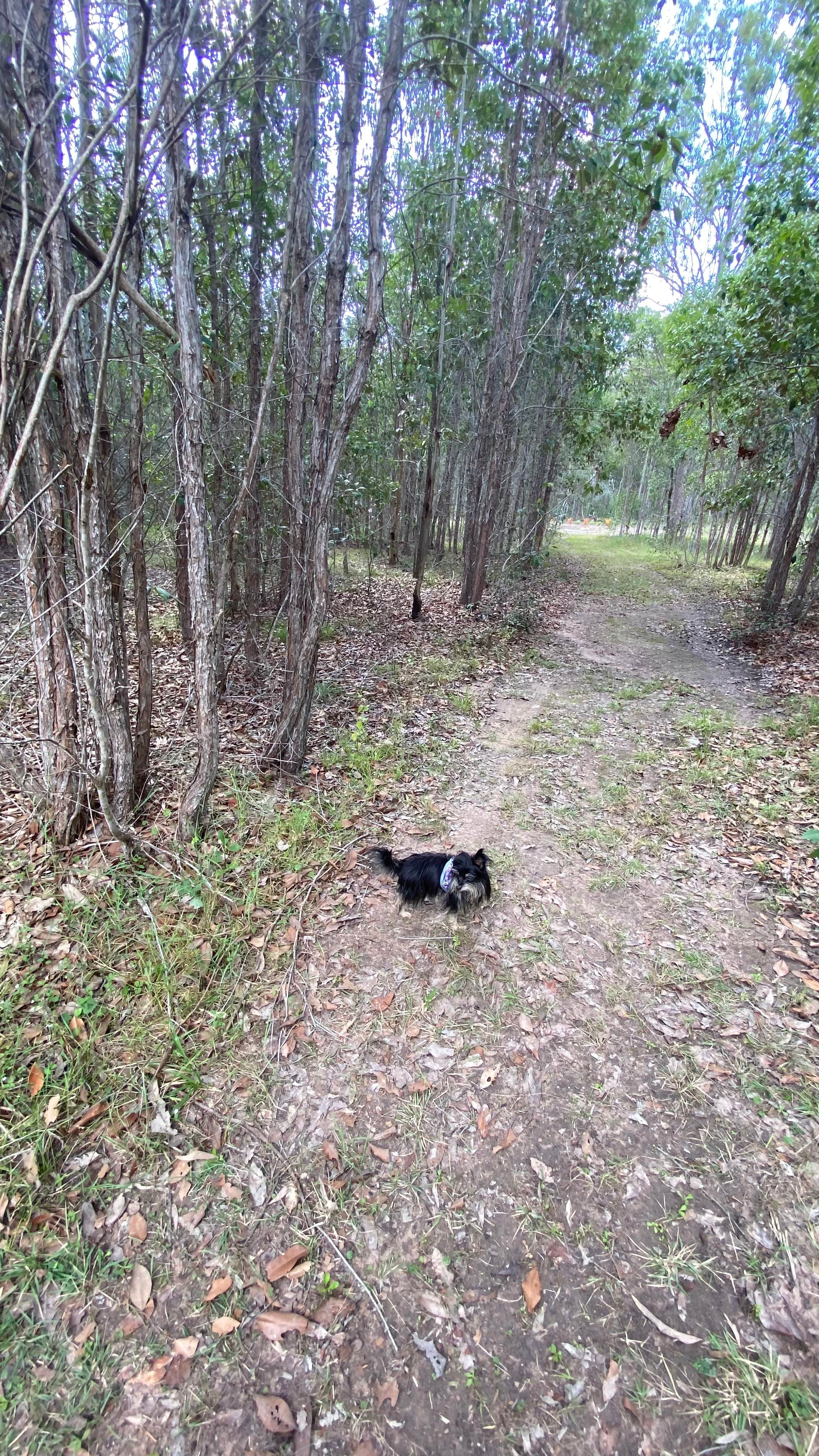 TerraLyra Sanctuary Retreat