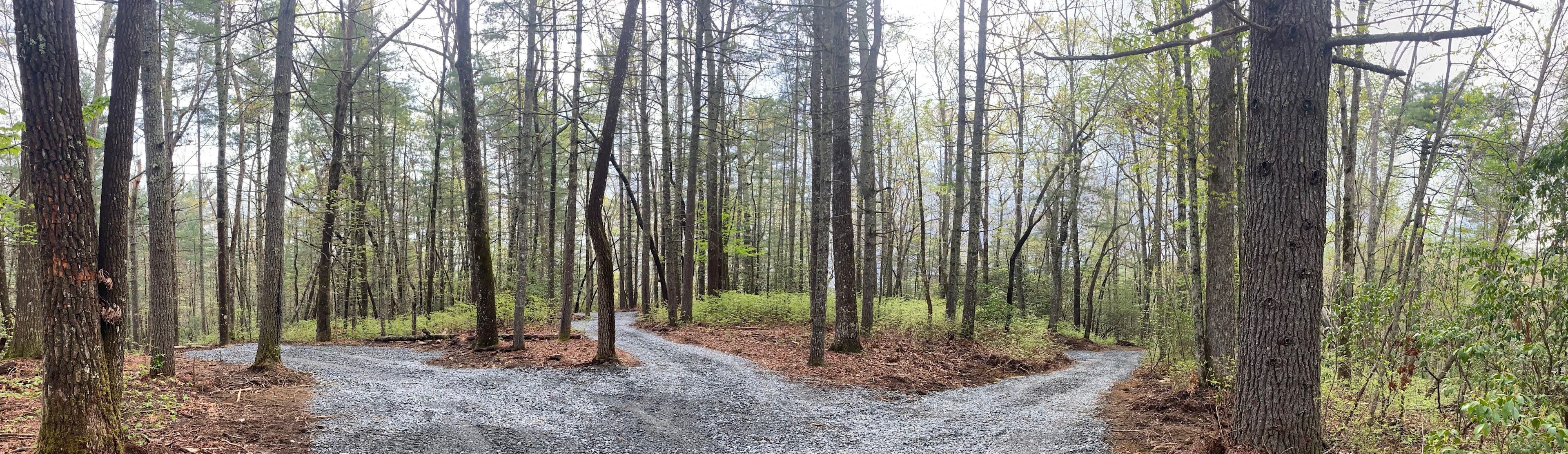 Cedar Ridge Base Camp