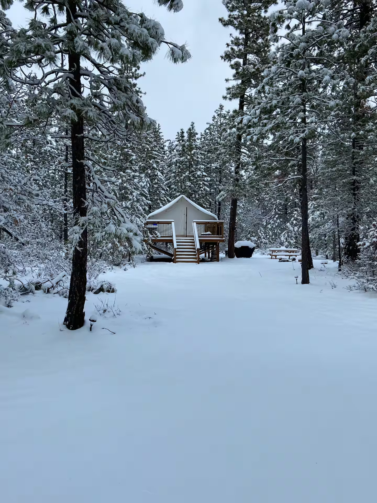 Starlit Glamping LLC