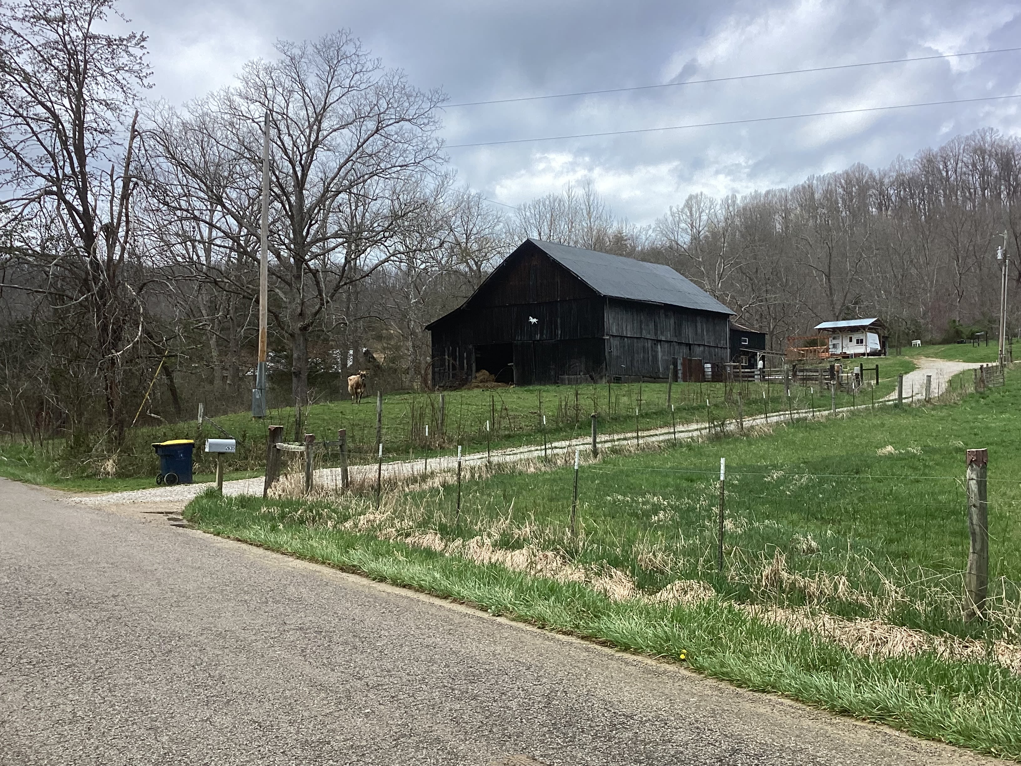 Disputanta Homestead