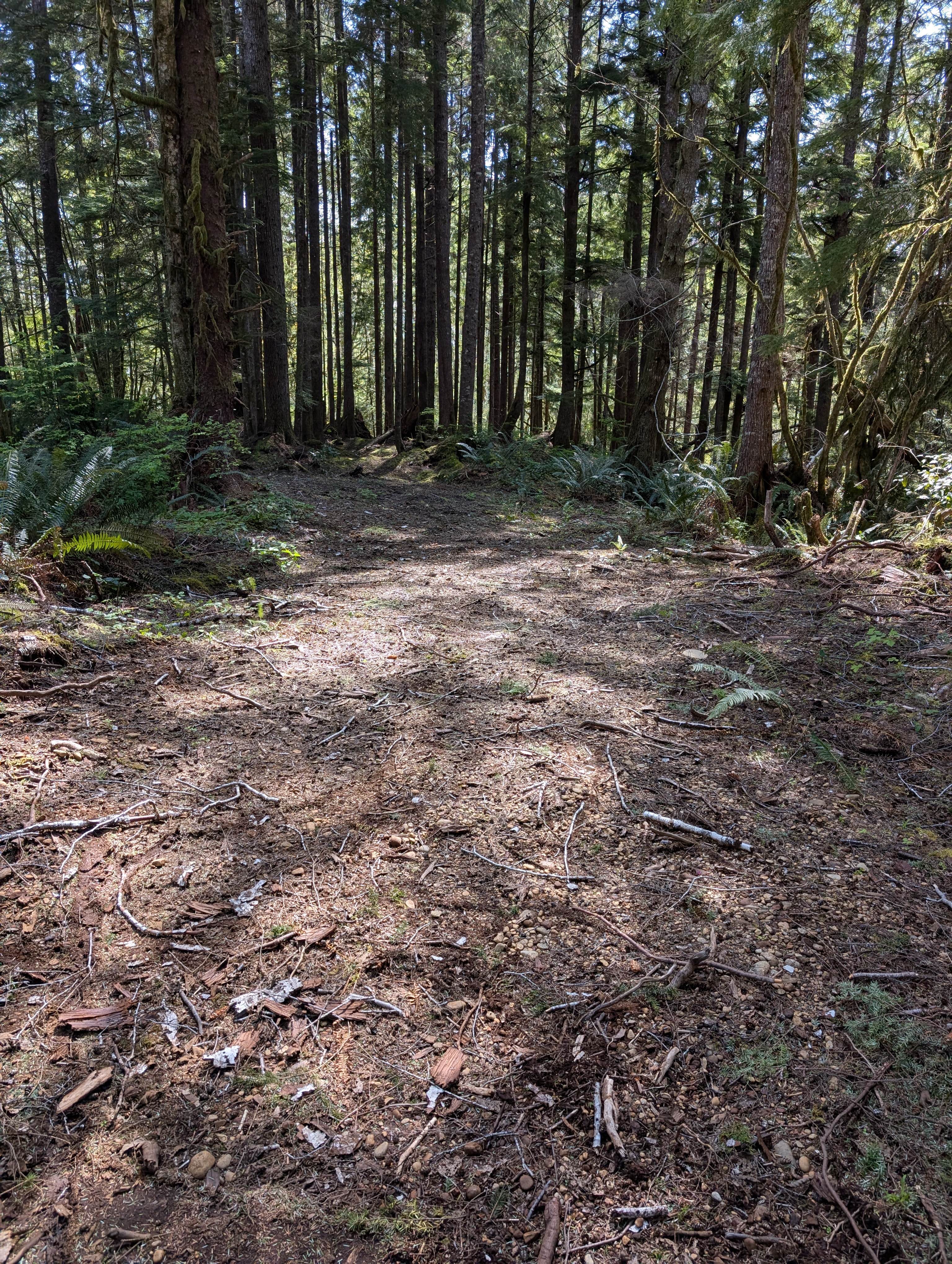 Humptulips Valley River Camp