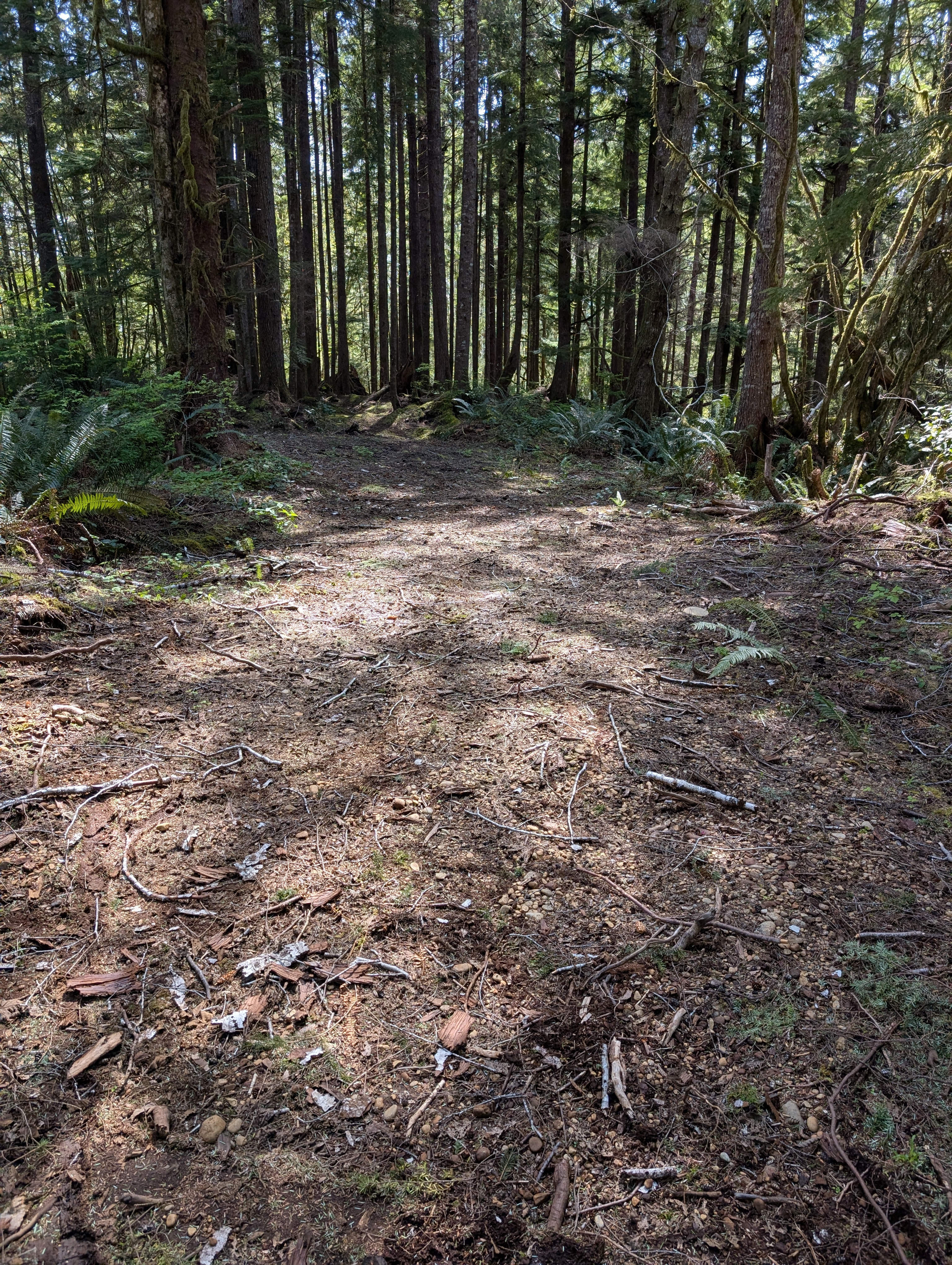 Humptulips Valley River Camp