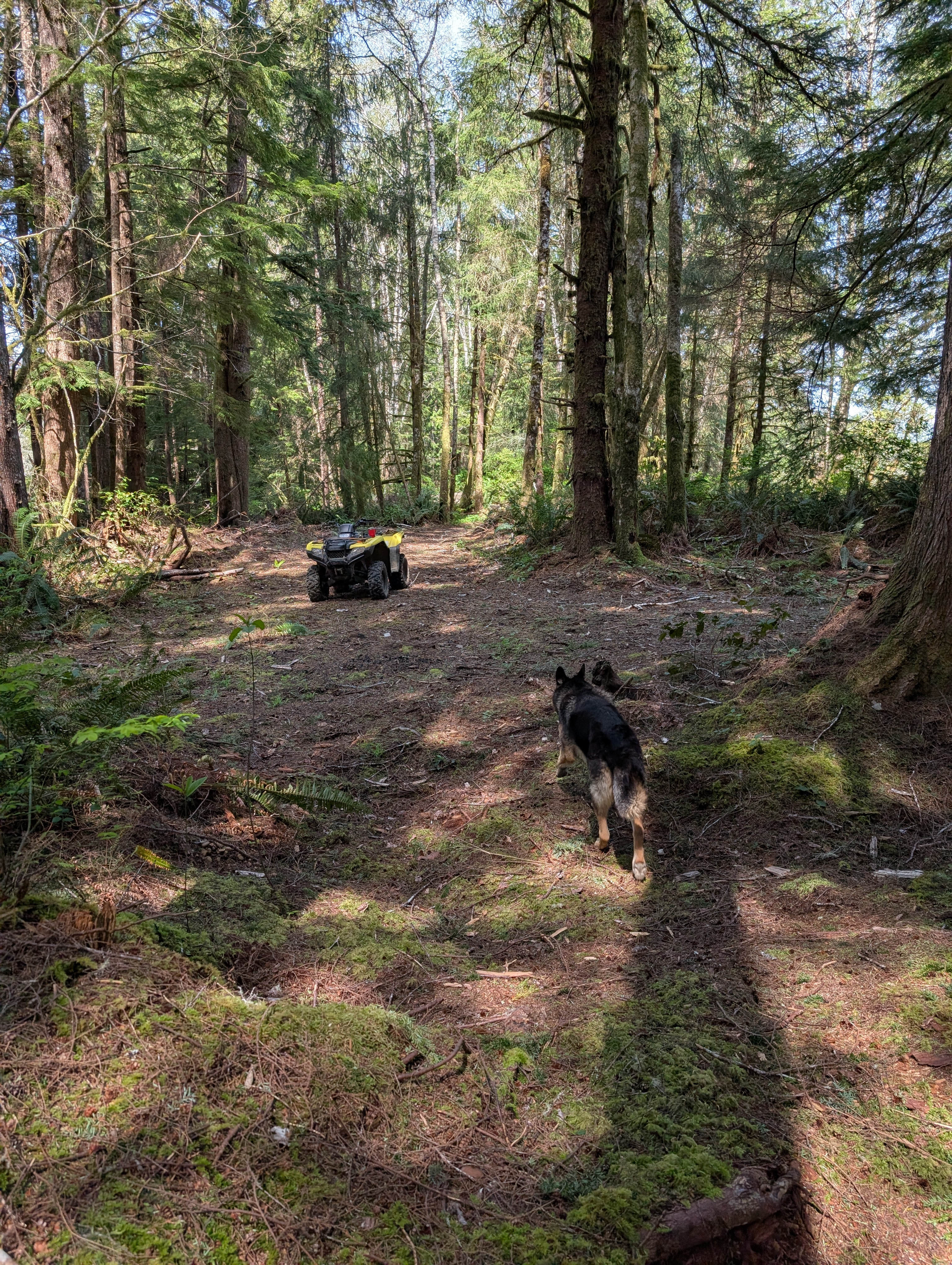 Humptulips Valley River Camp