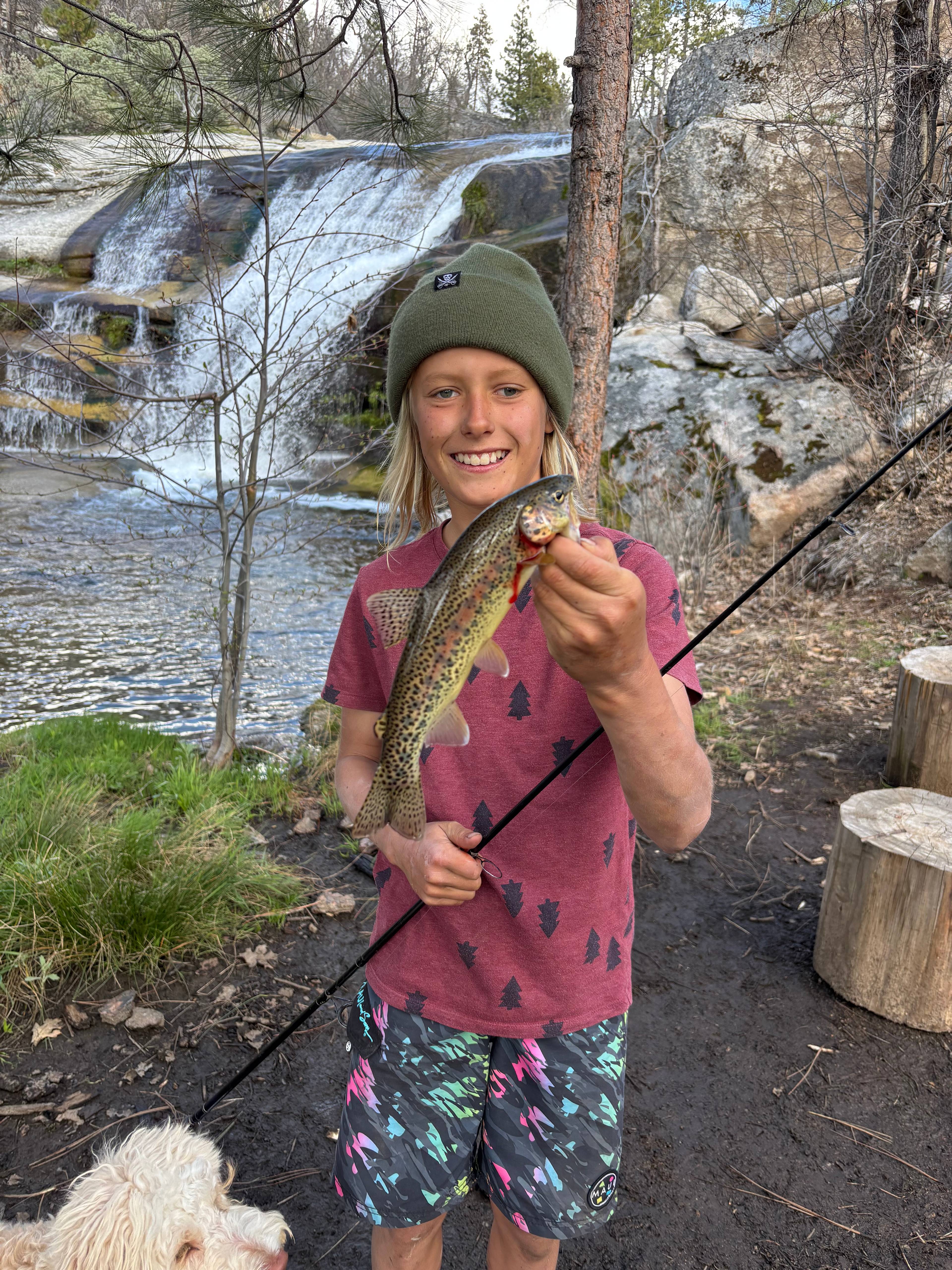 Musick Creek Falls  by Shaver Lake